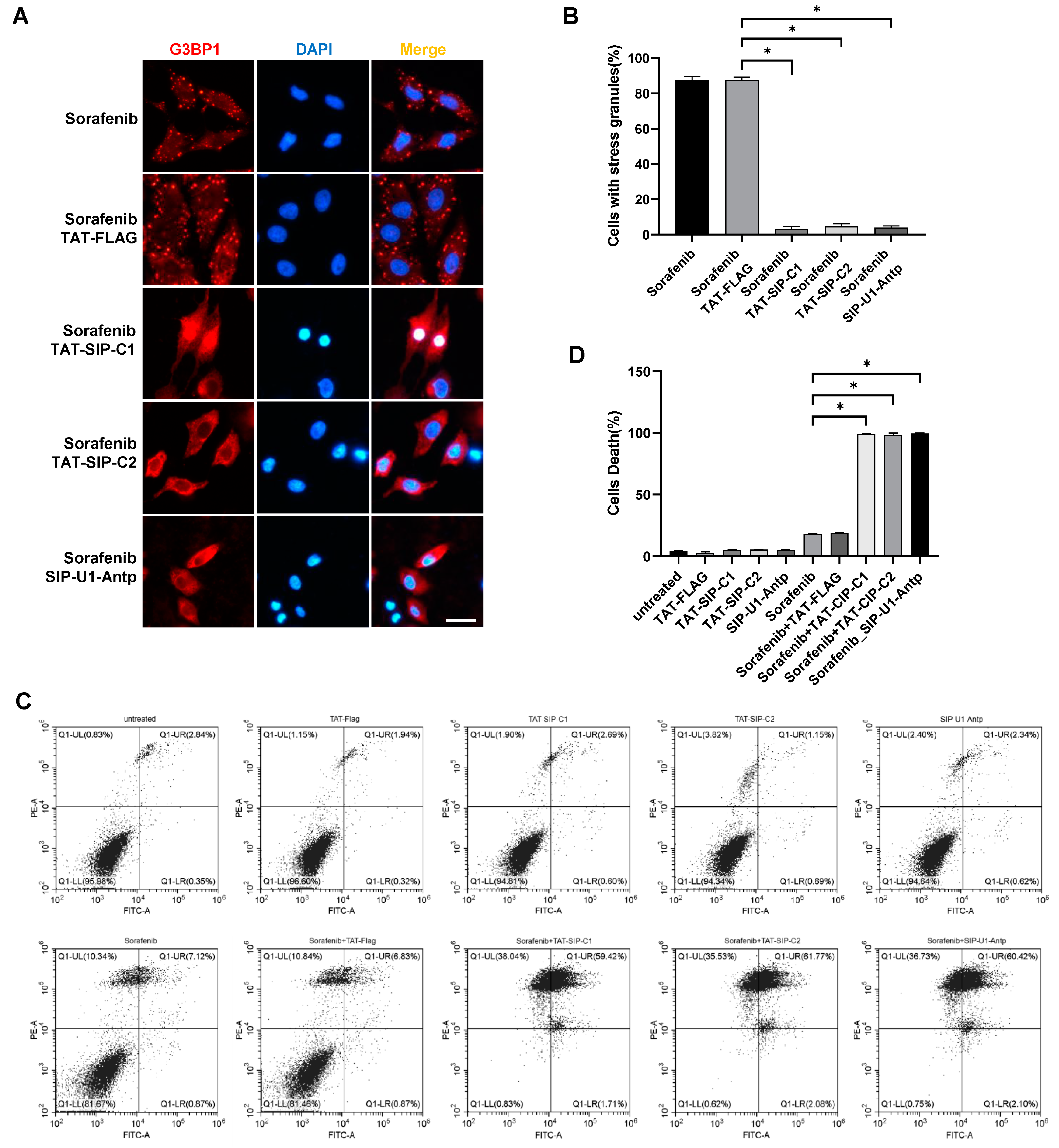Molecules 29 02134 g007