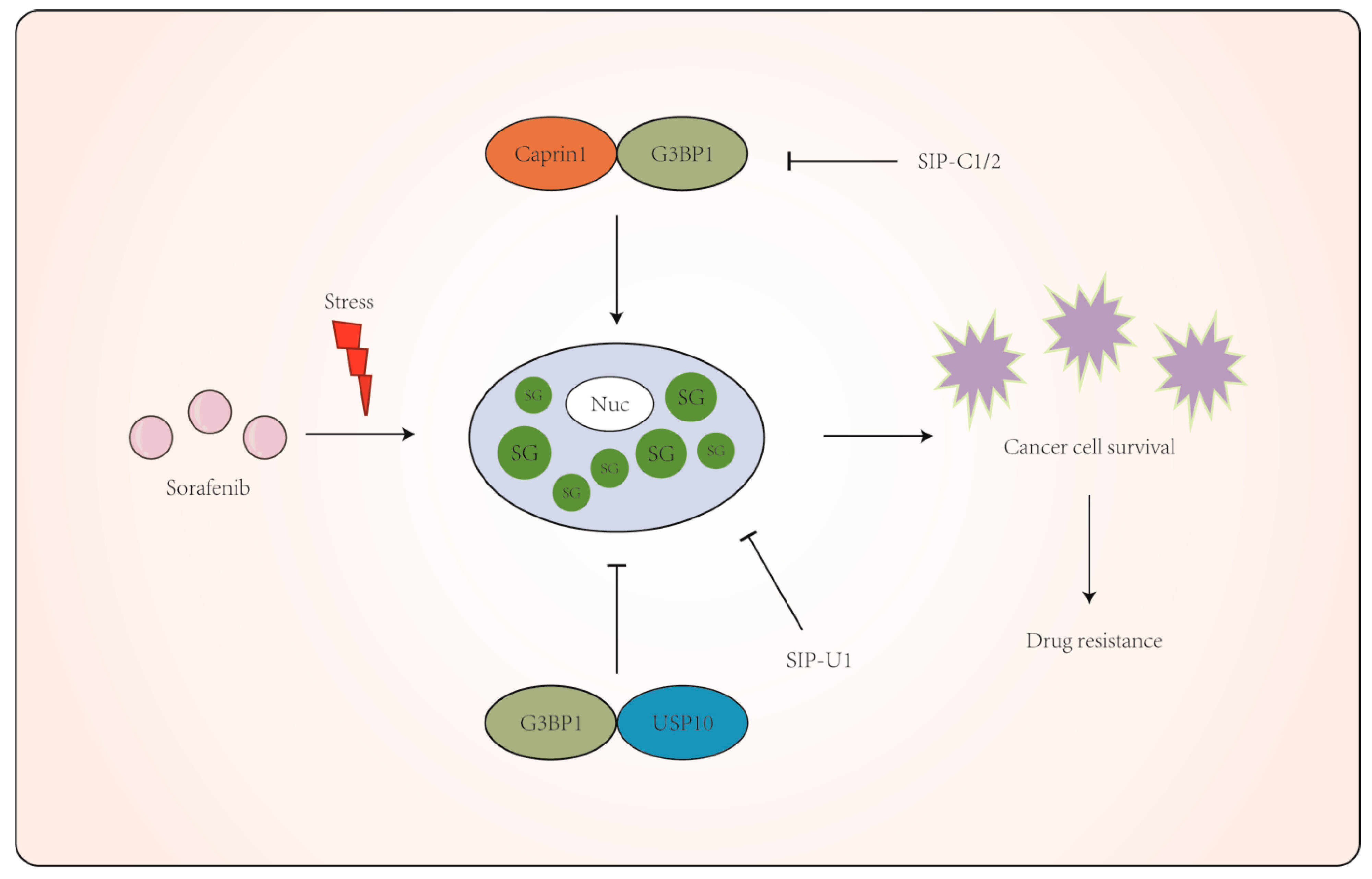 Molecules 29 02134 g008