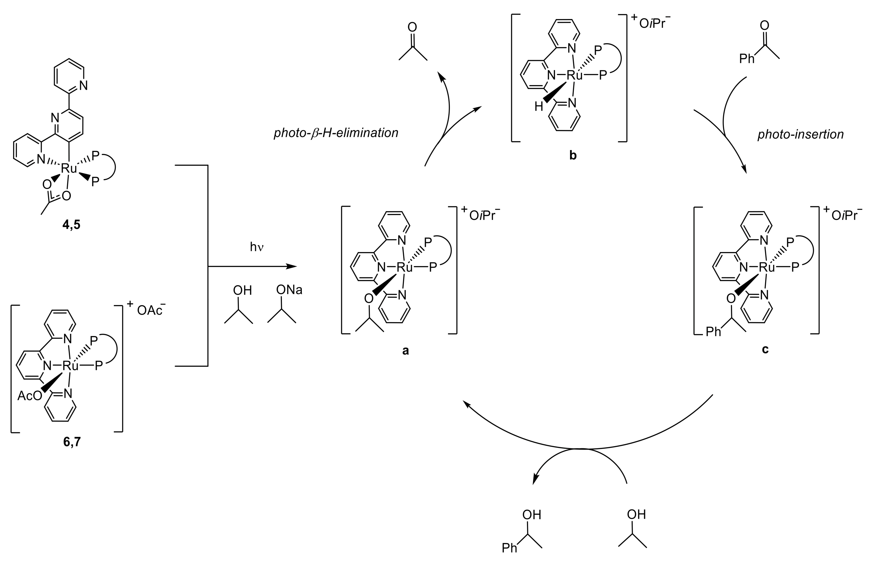 Molecules 29 02146 sch006