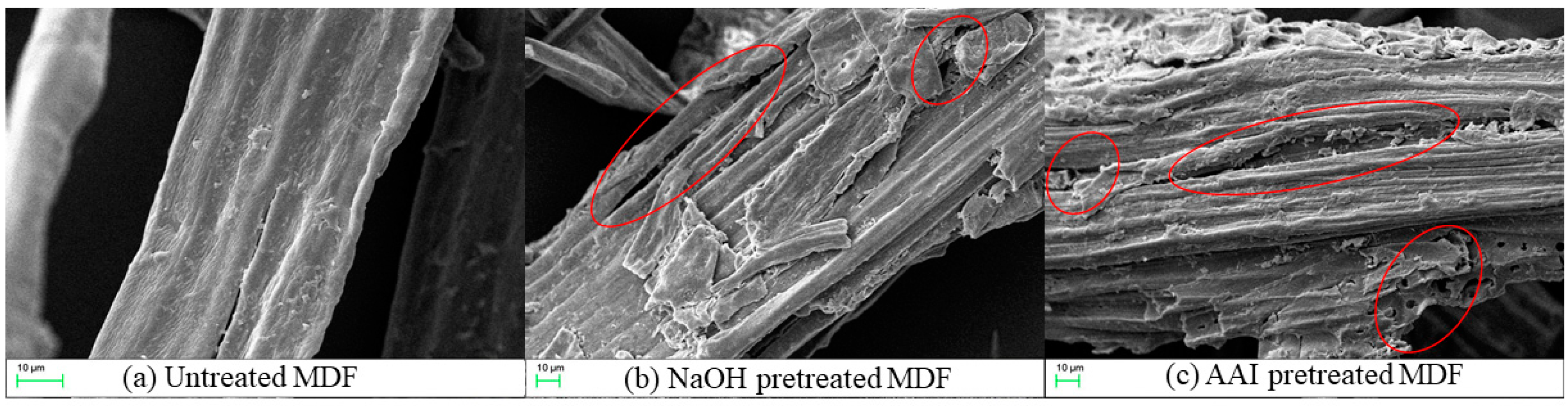 Molecules 29 02153 g006