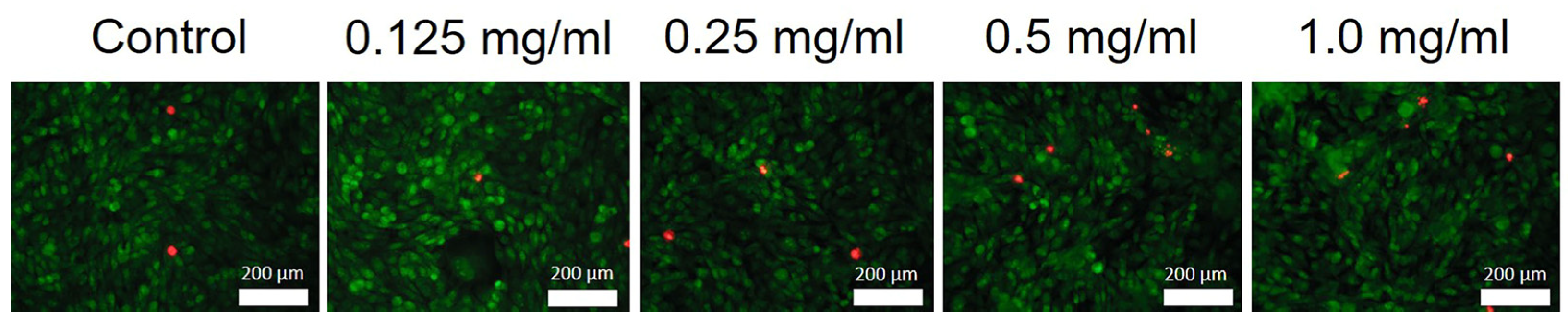 Molecules 29 02157 g011