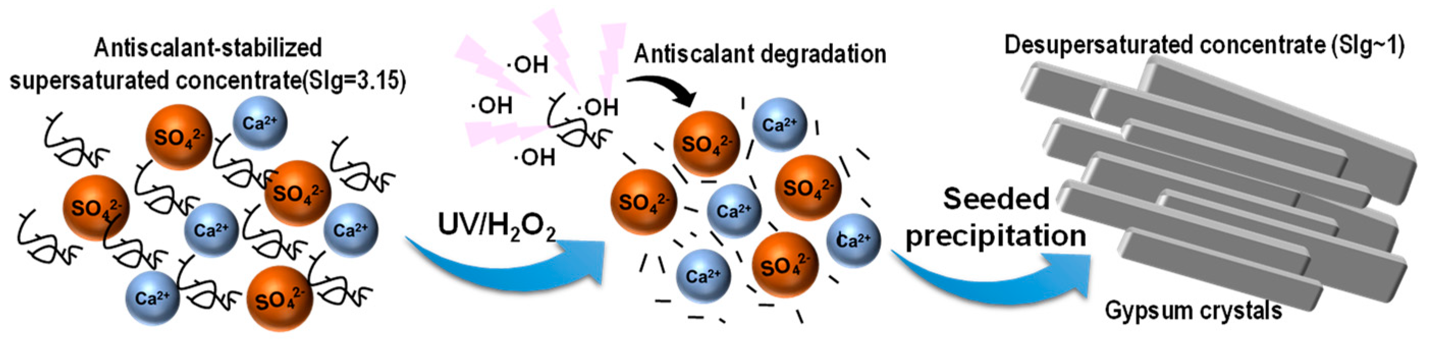 Molecules 29 02163 g002
