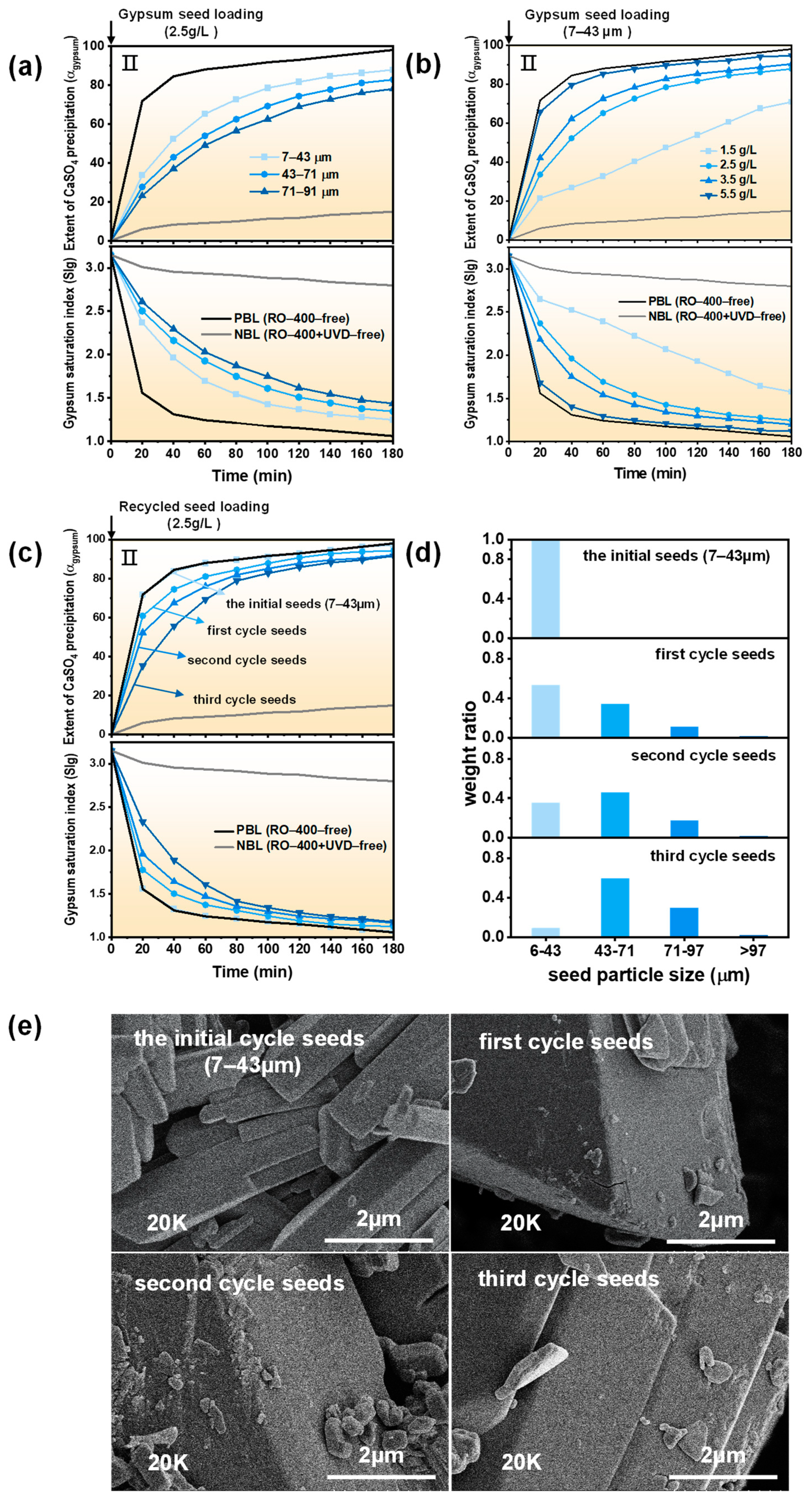 Molecules 29 02163 g005