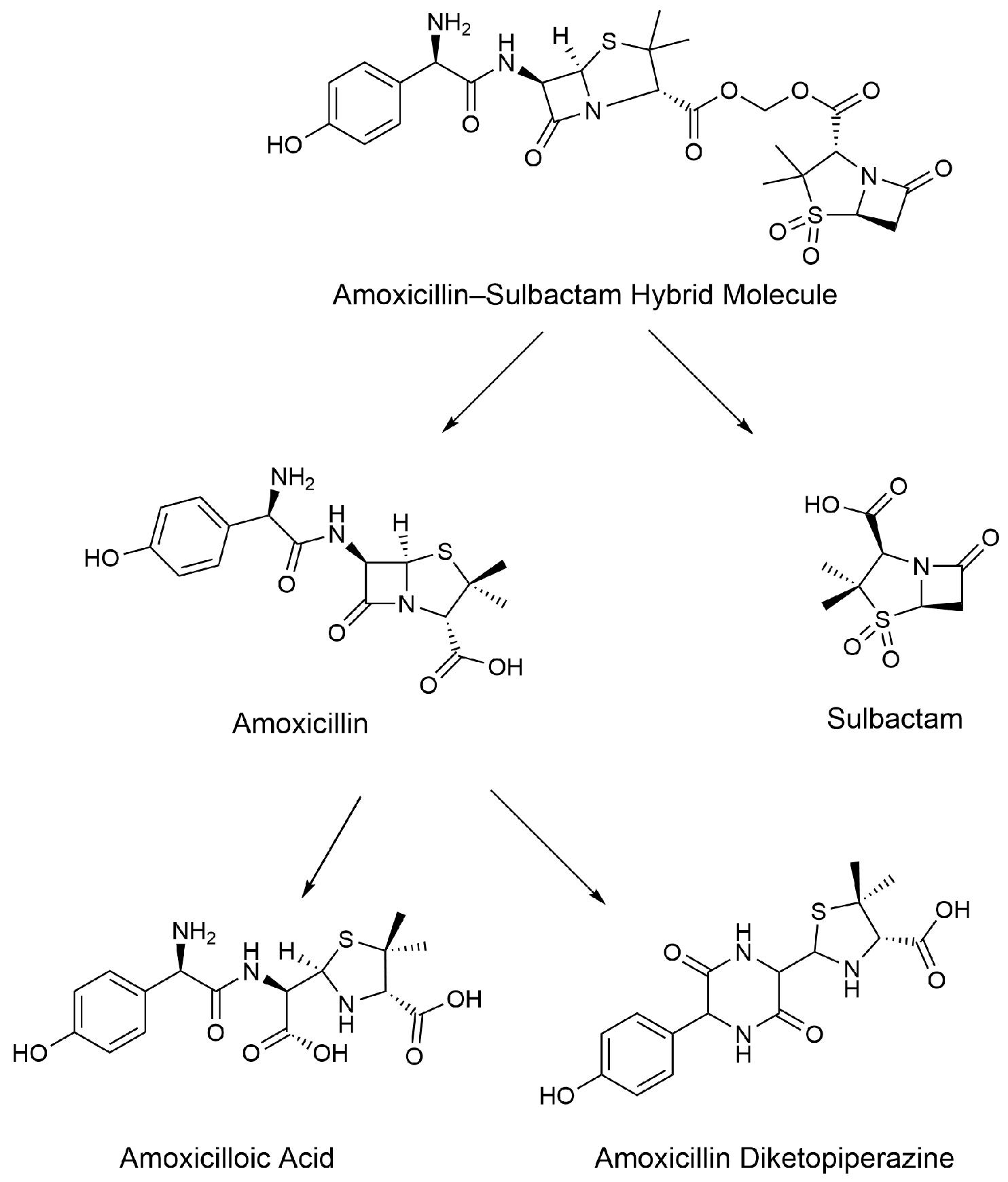 Molecules 29 02169 g001 Molecules 29 02169 g001