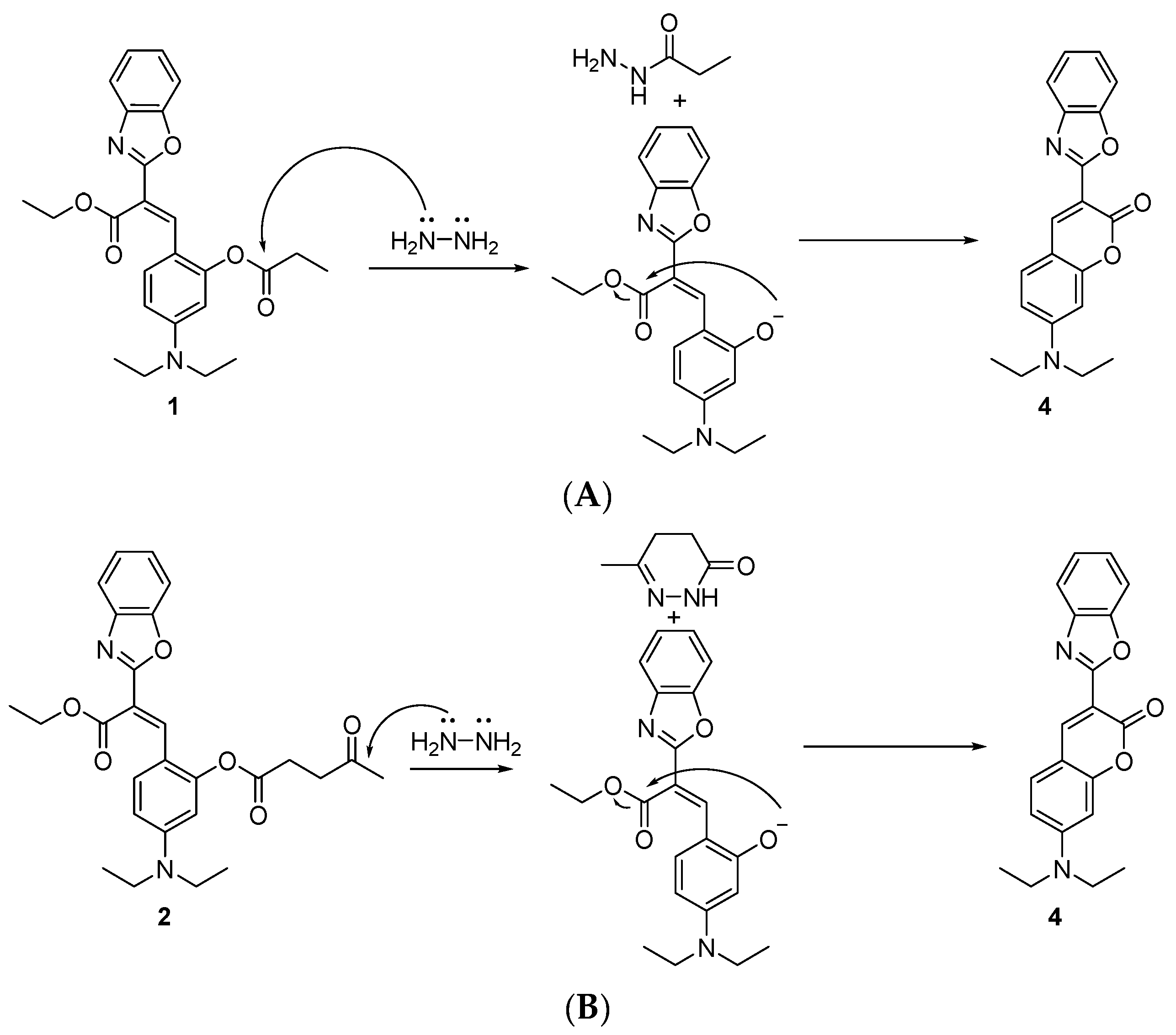 Molecules 29 02175 g002a