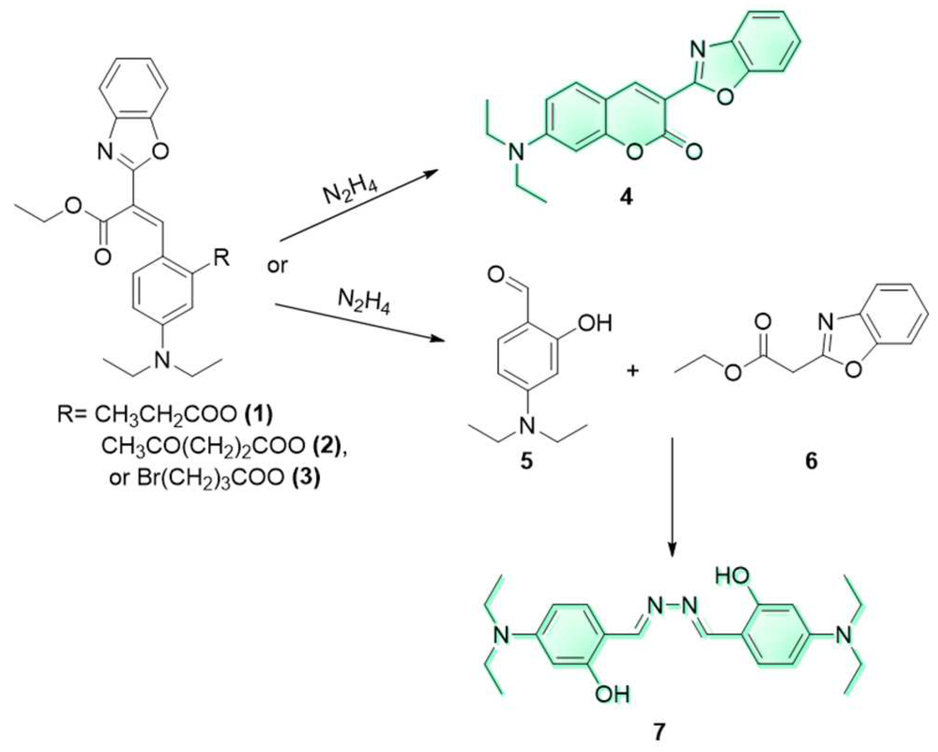 Molecules 29 02175 g004