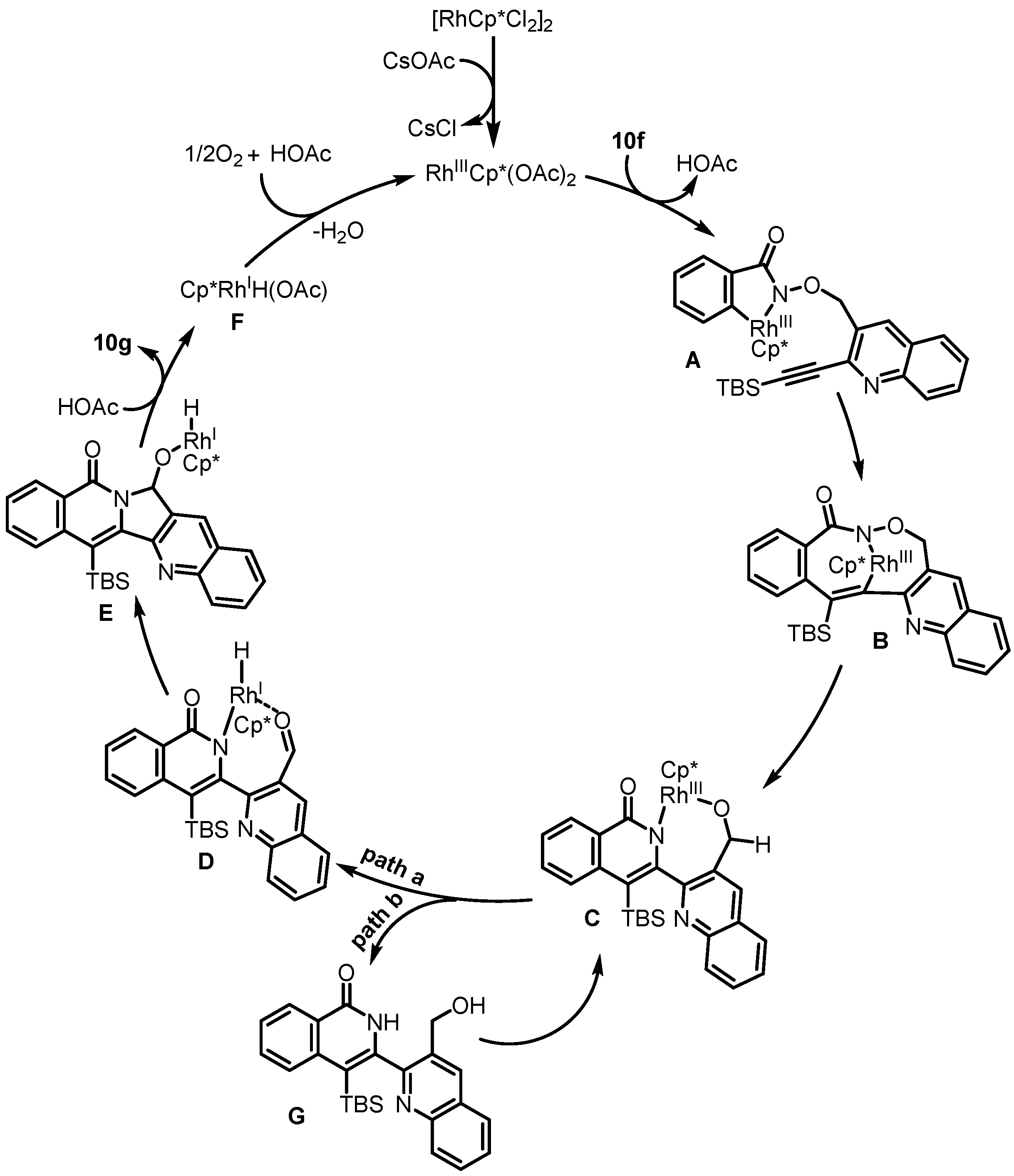 Molecules 29 02176 sch017