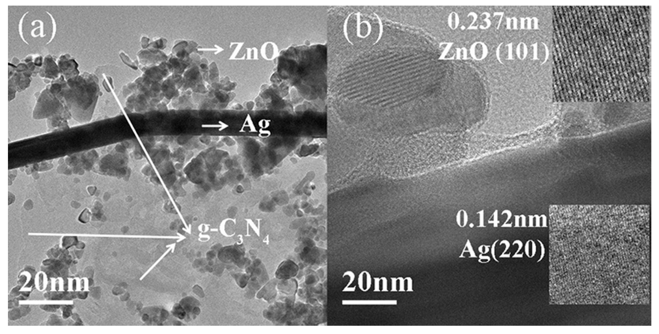 Molecules 29 02182 g006