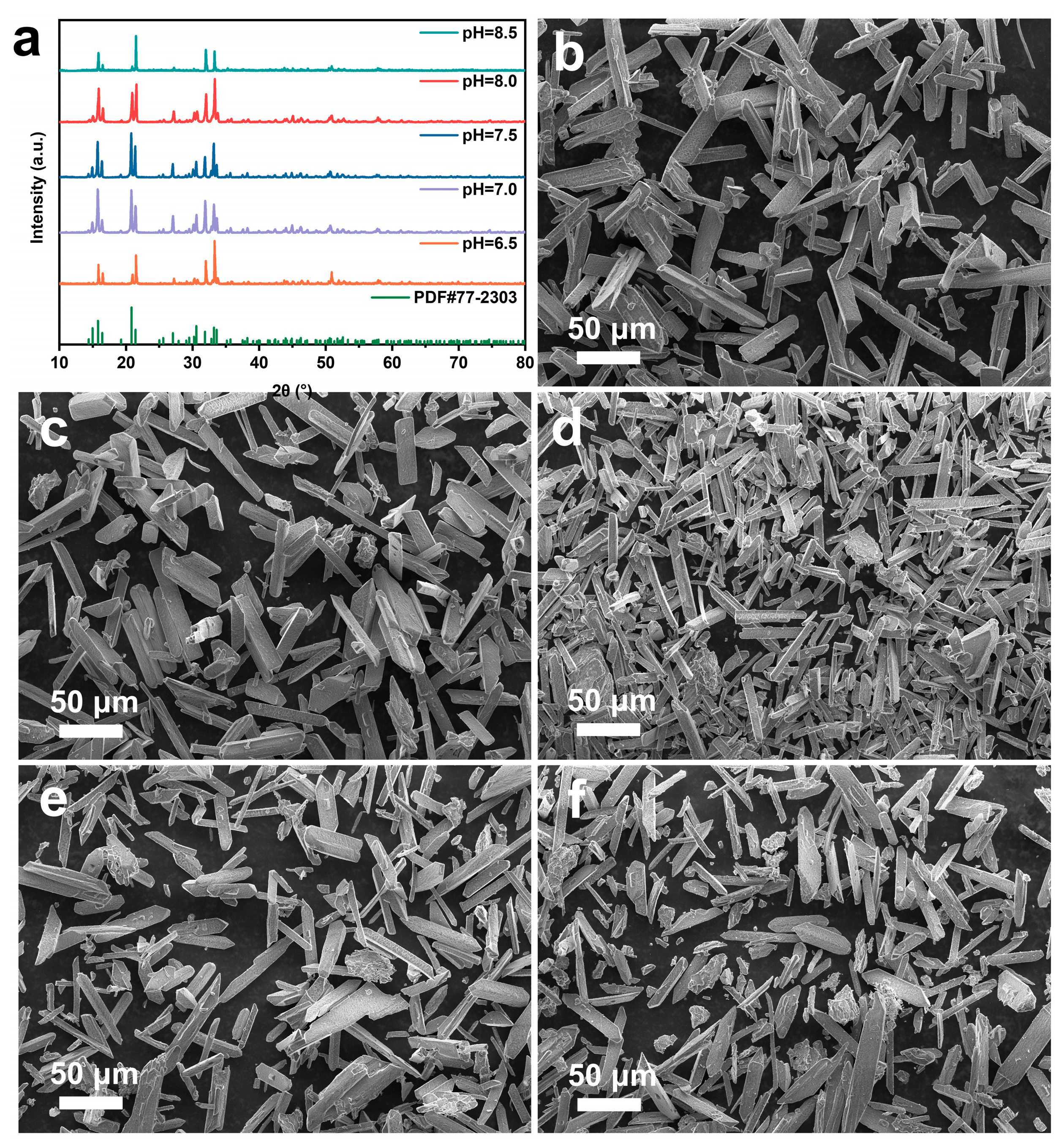 Molecules 29 02185 g004