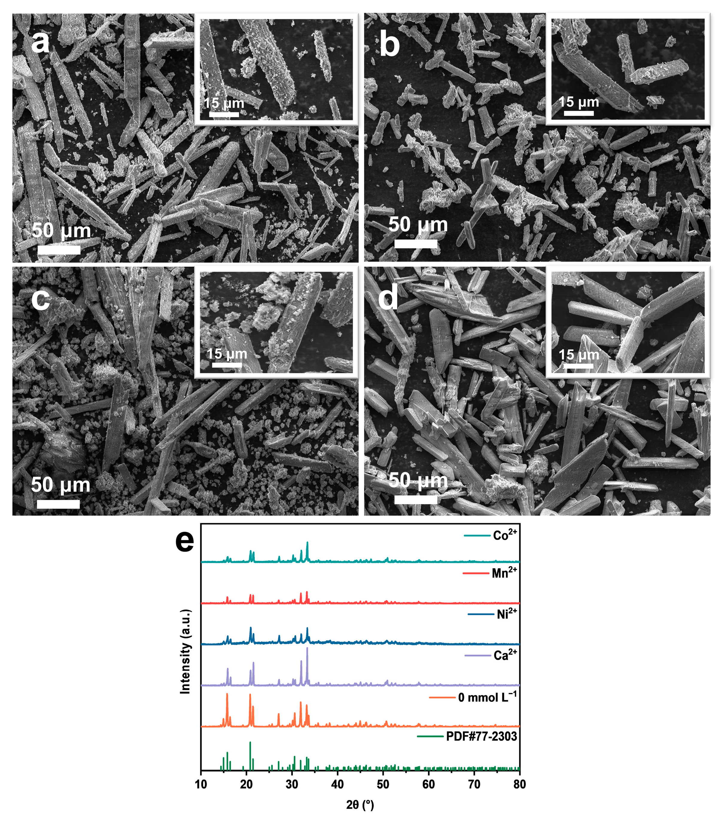 Molecules 29 02185 g010