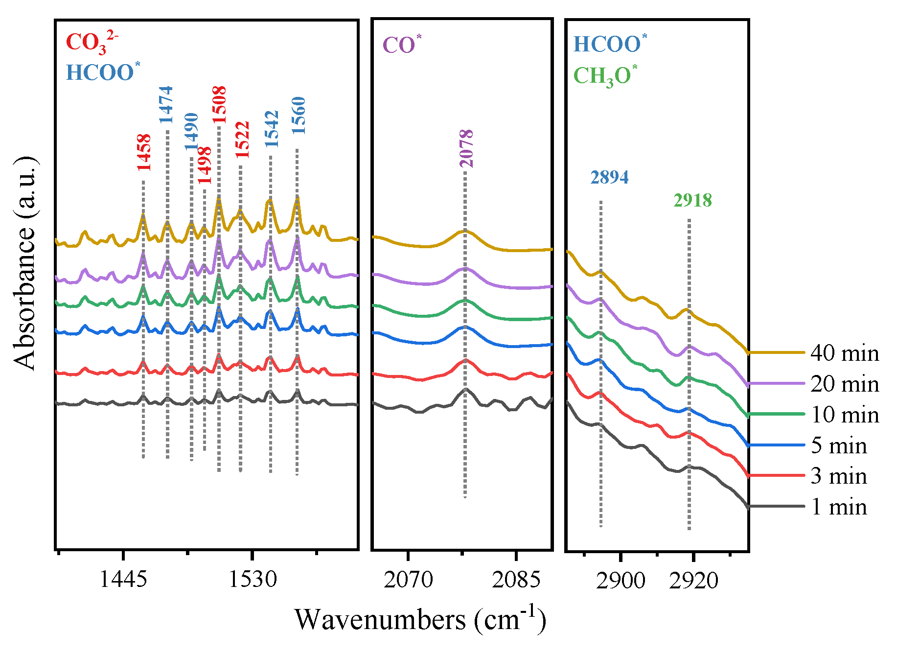 Molecules 29 02186 g006