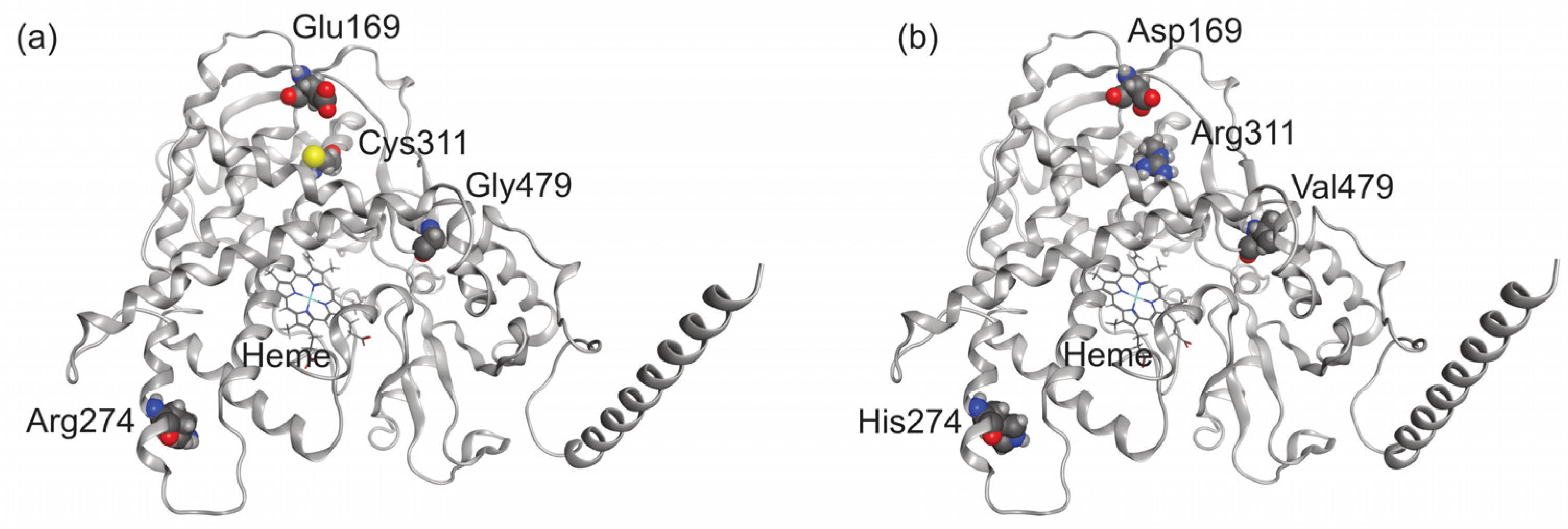Molecules 29 02191 g003