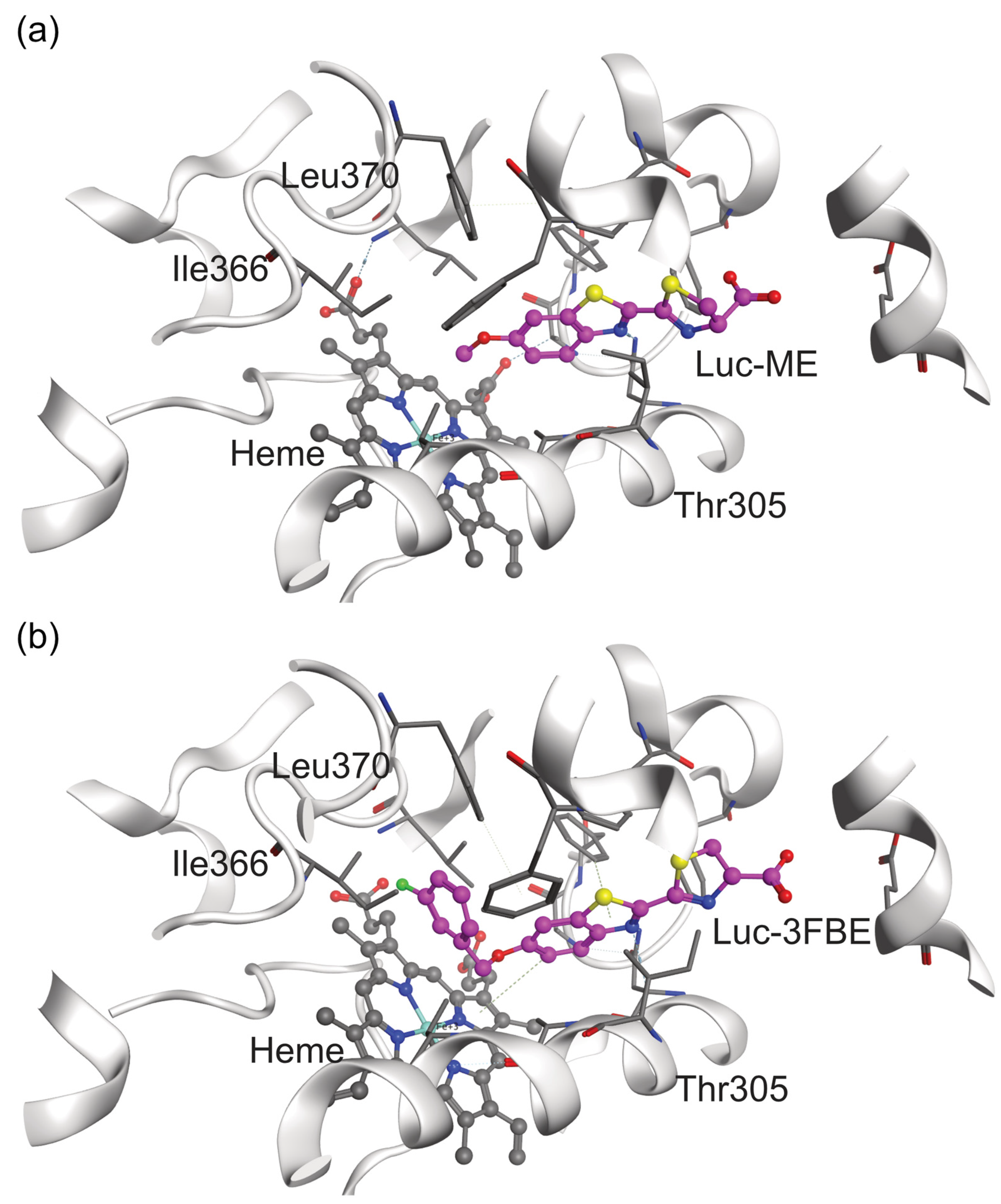 Molecules 29 02191 g004