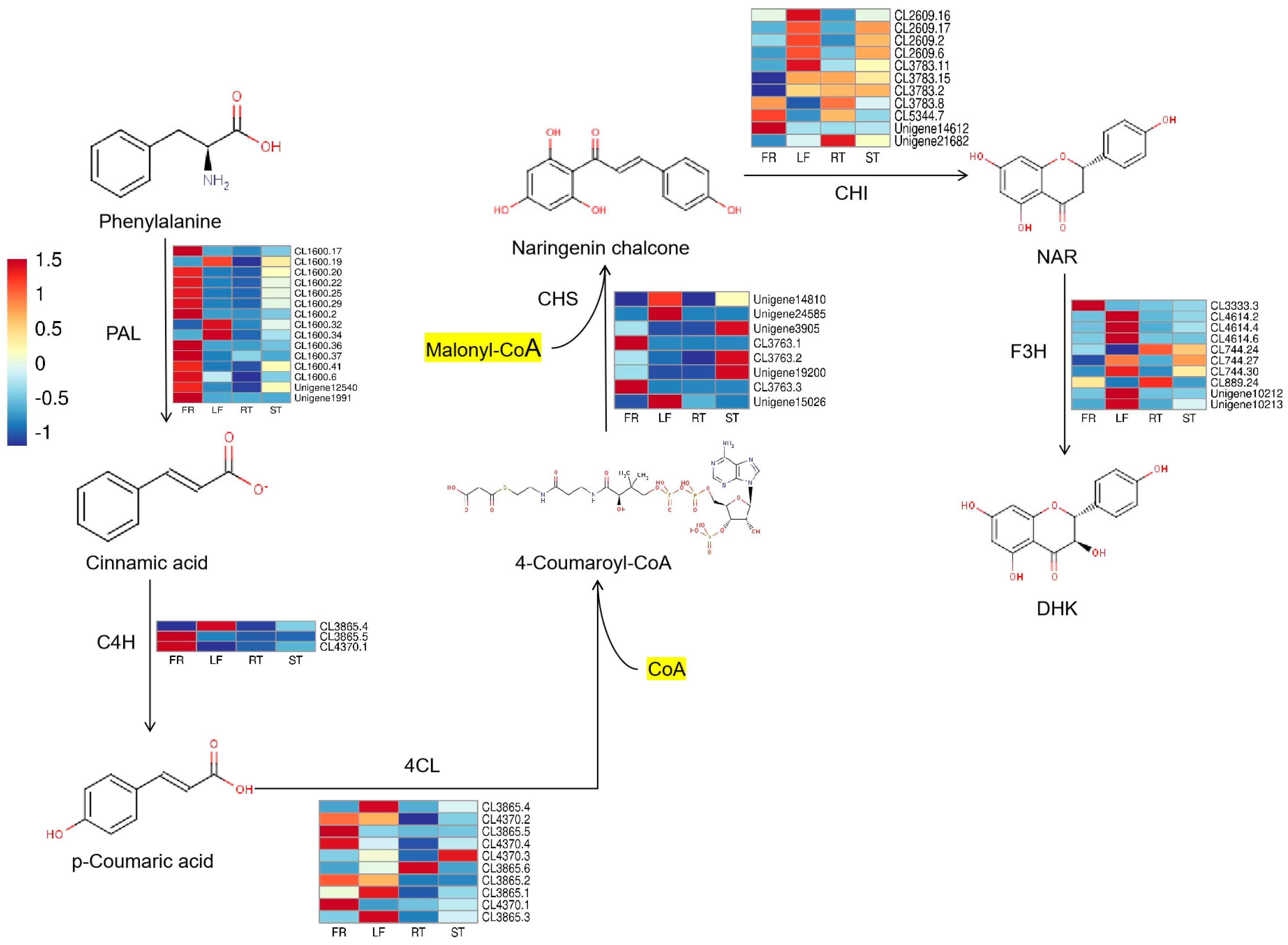 Molecules 29 02196 g001