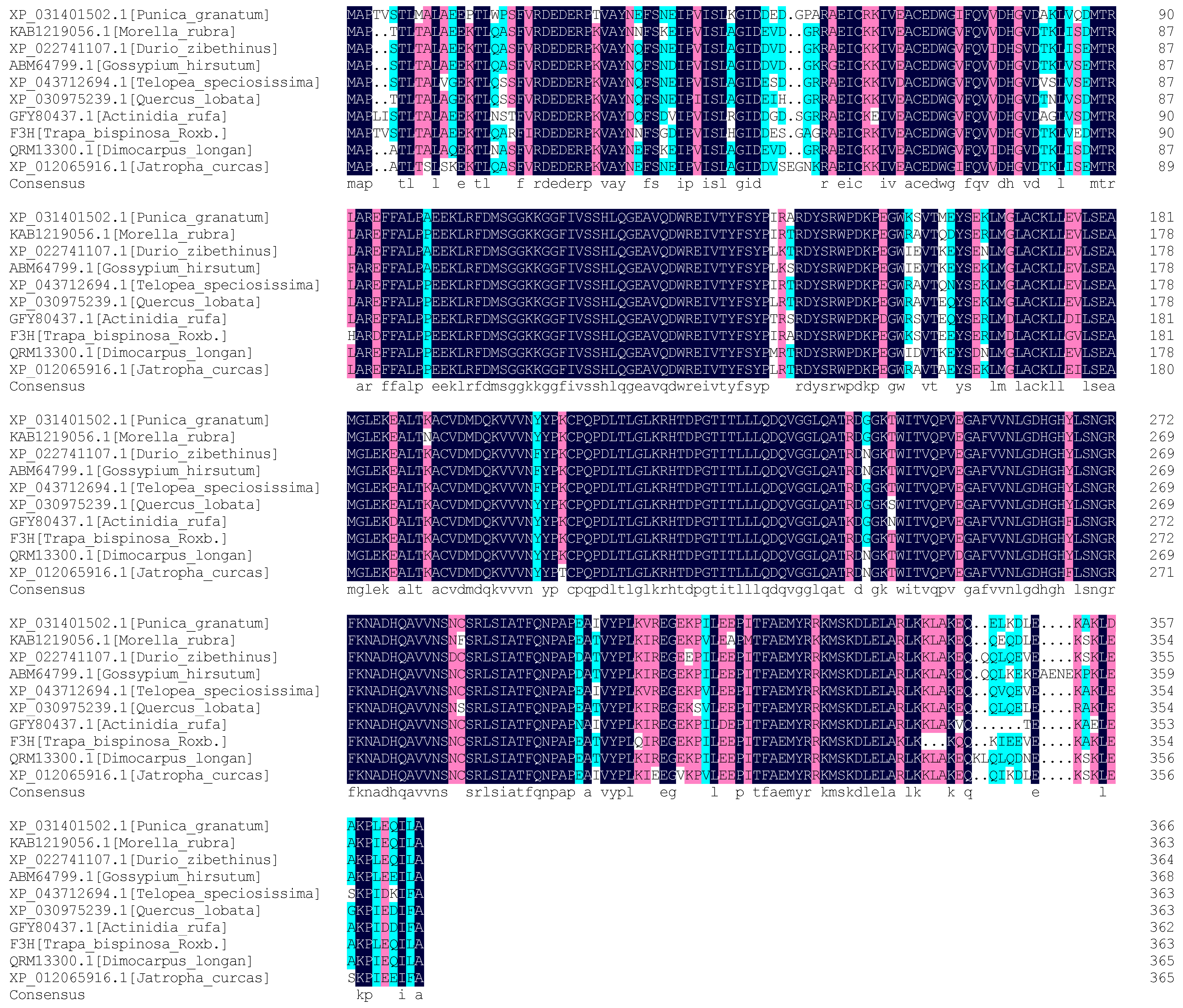 Molecules 29 02196 g005