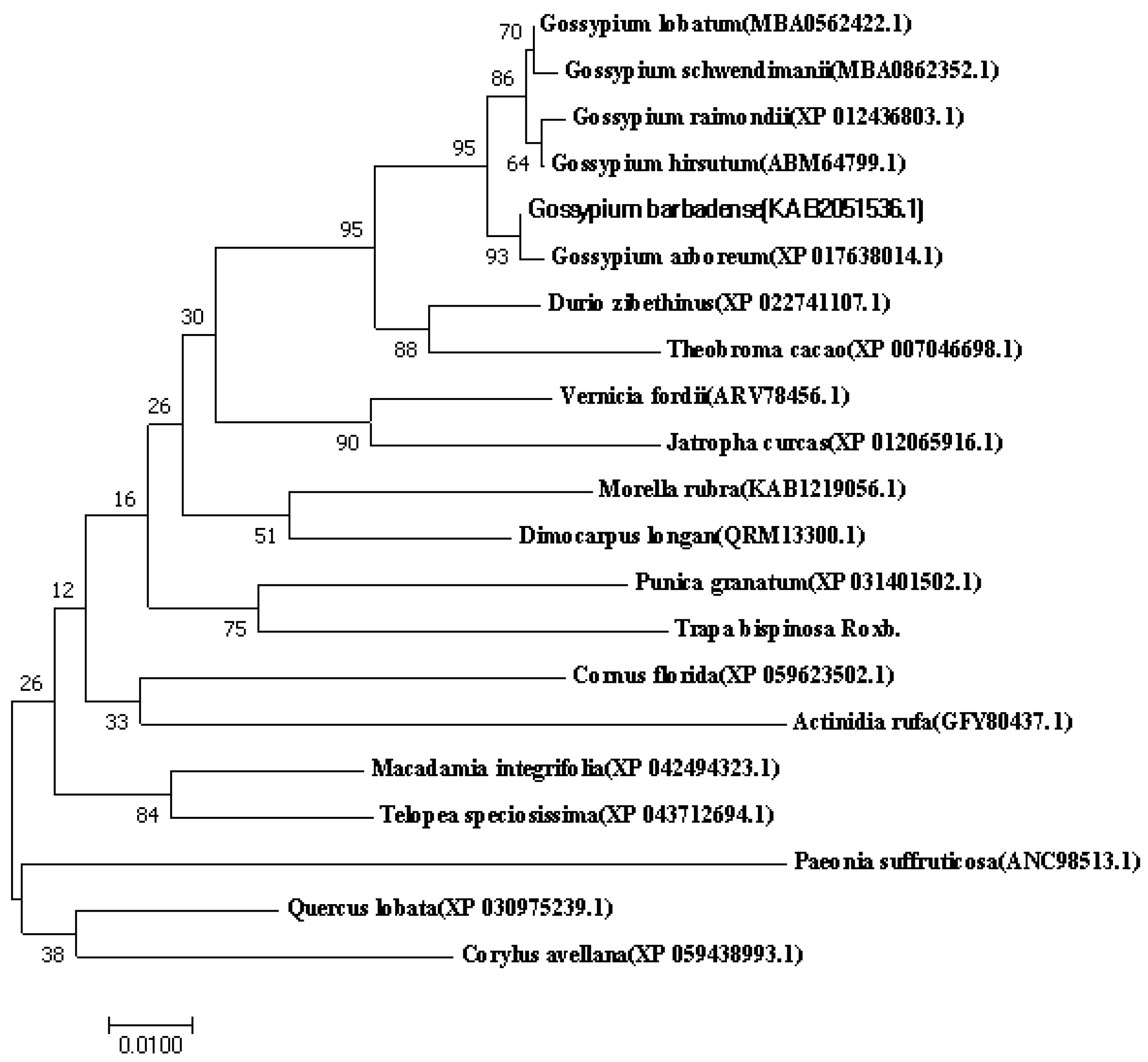 Molecules 29 02196 g006