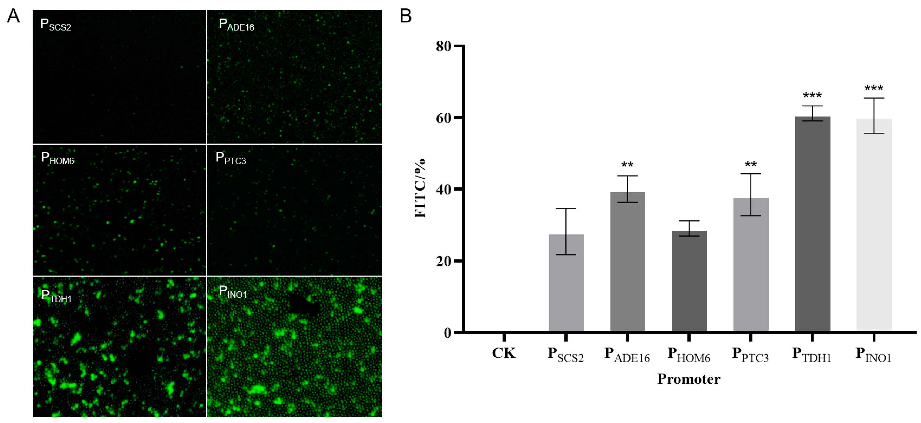Molecules 29 02196 g010