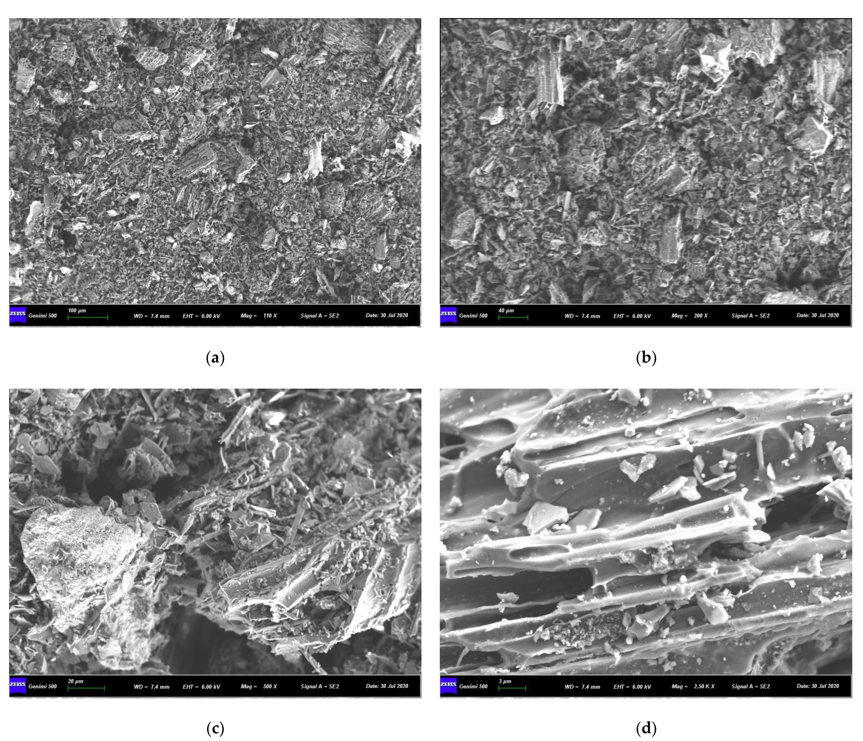 Molecules 29 02202 g002a