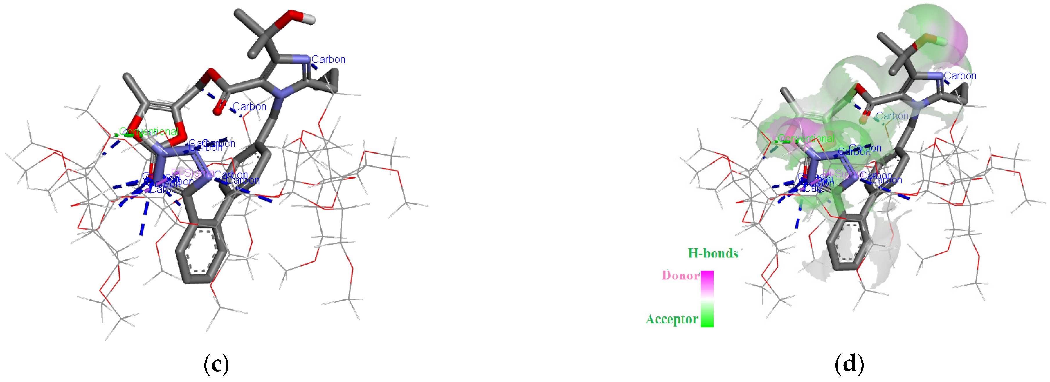 Molecules 29 02209 g005b