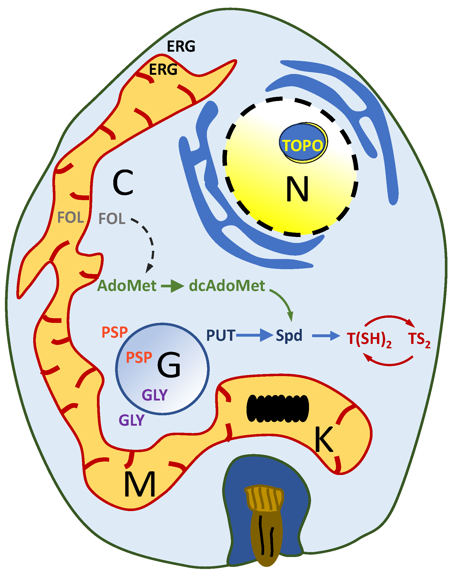 Molecules 29 02214 g001