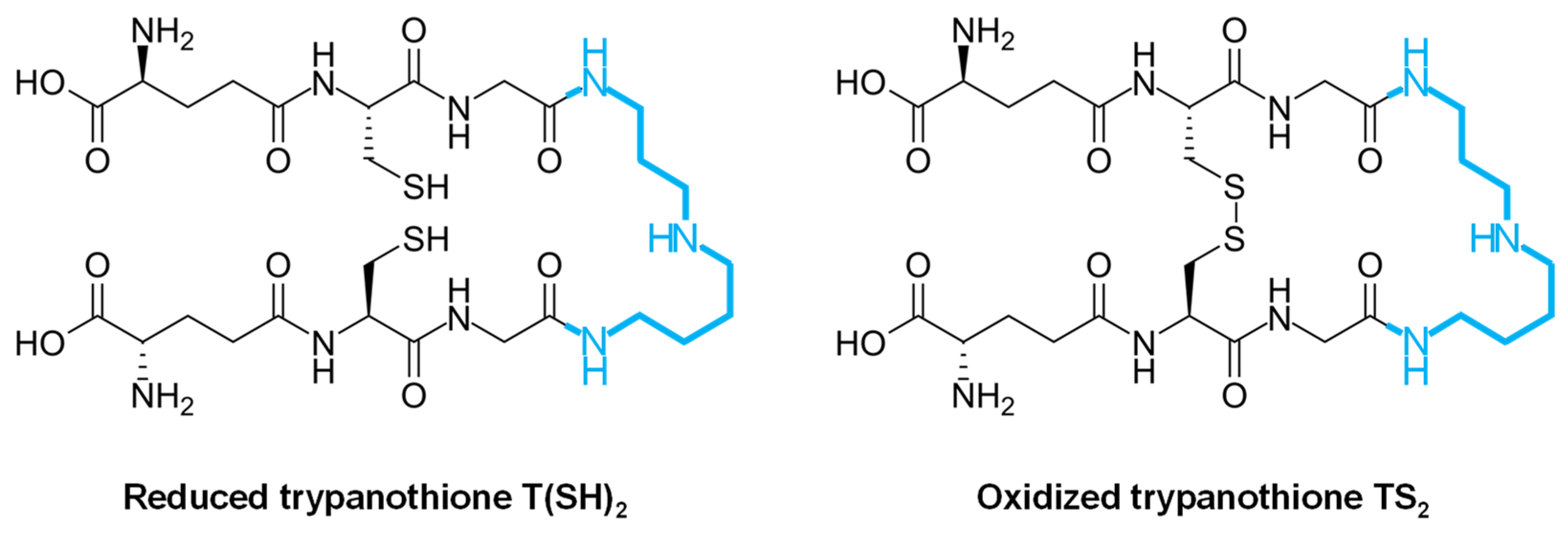 Molecules 29 02214 g002