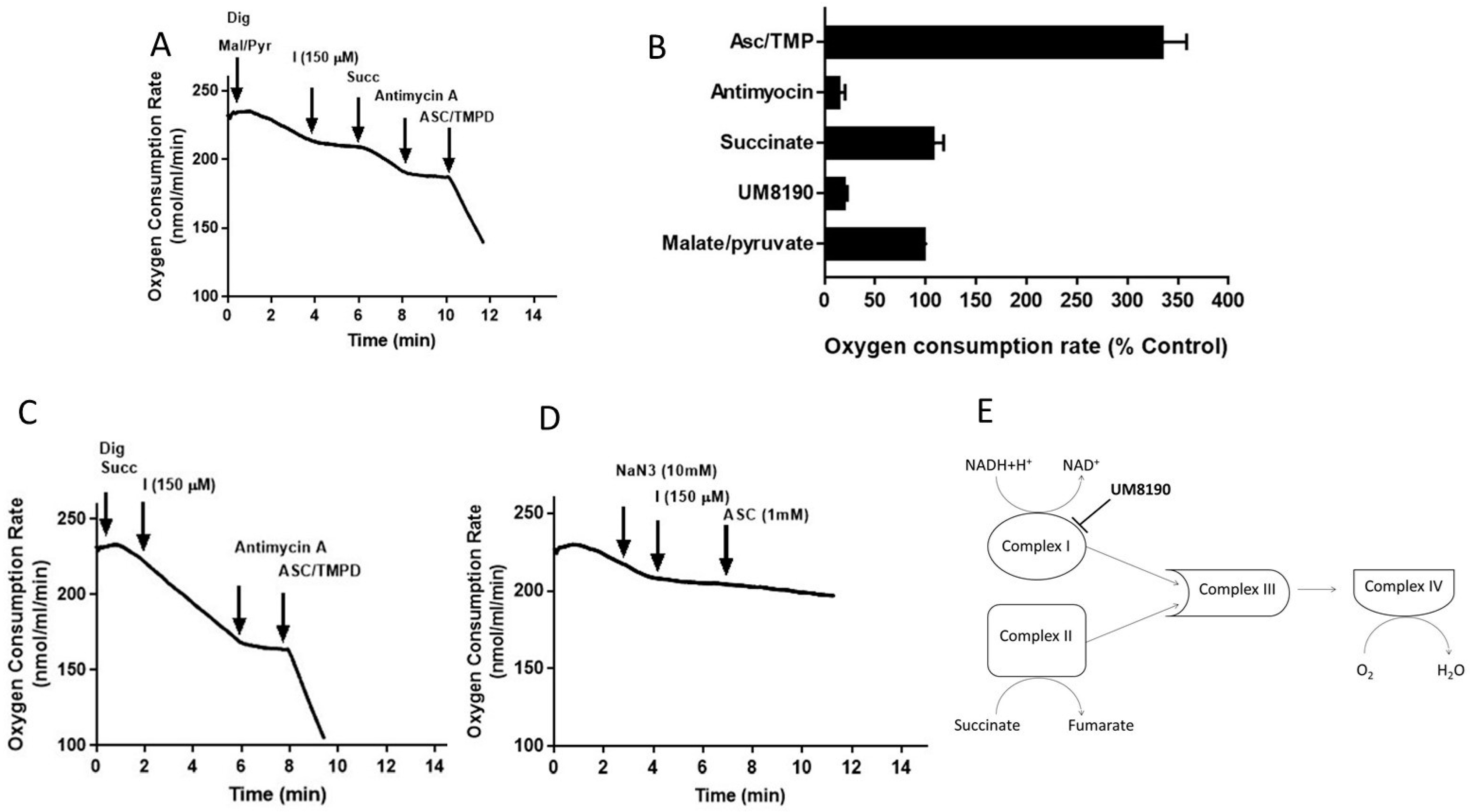 Molecules 29 02219 g006