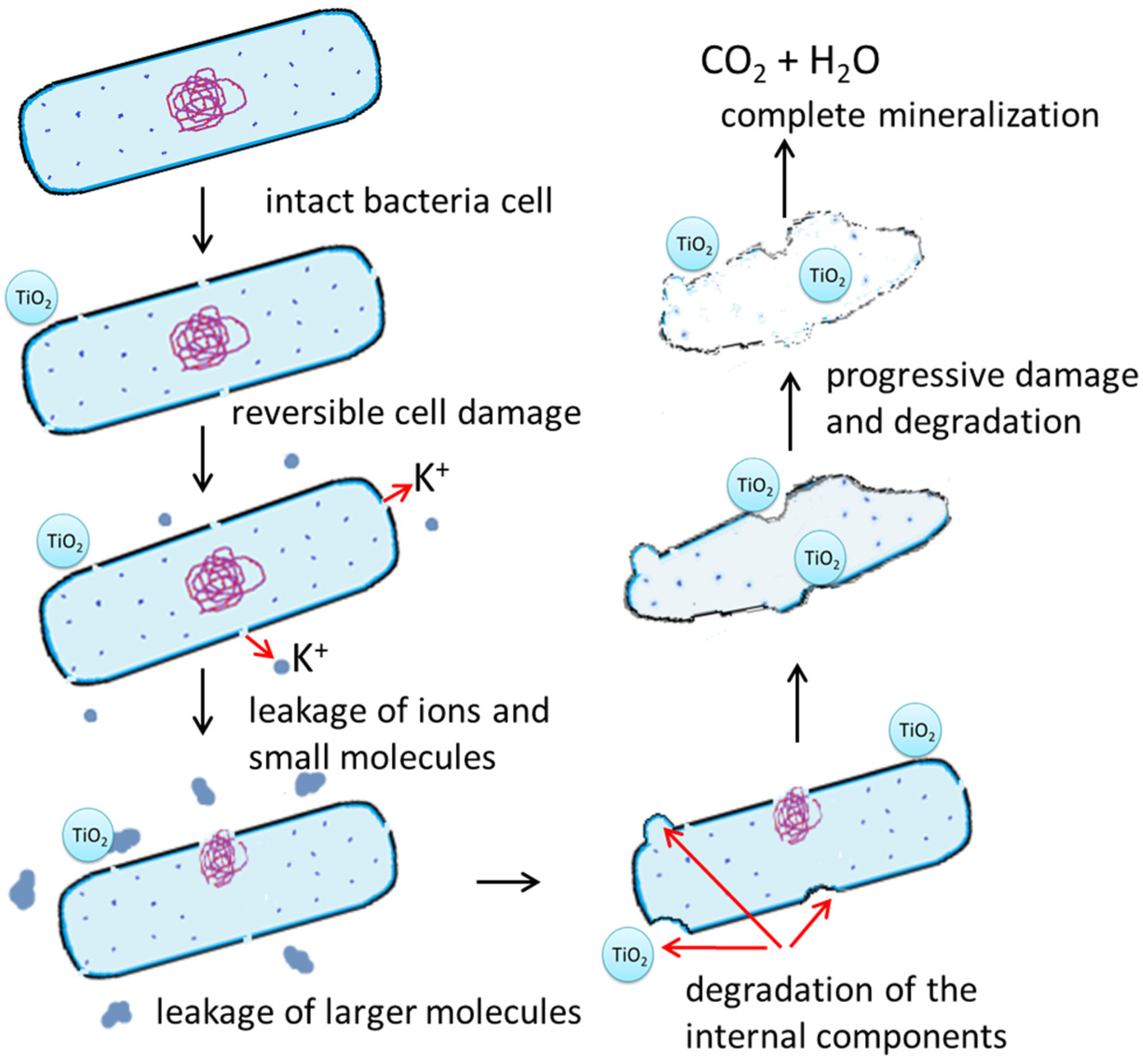 Molecules 29 02221 g002