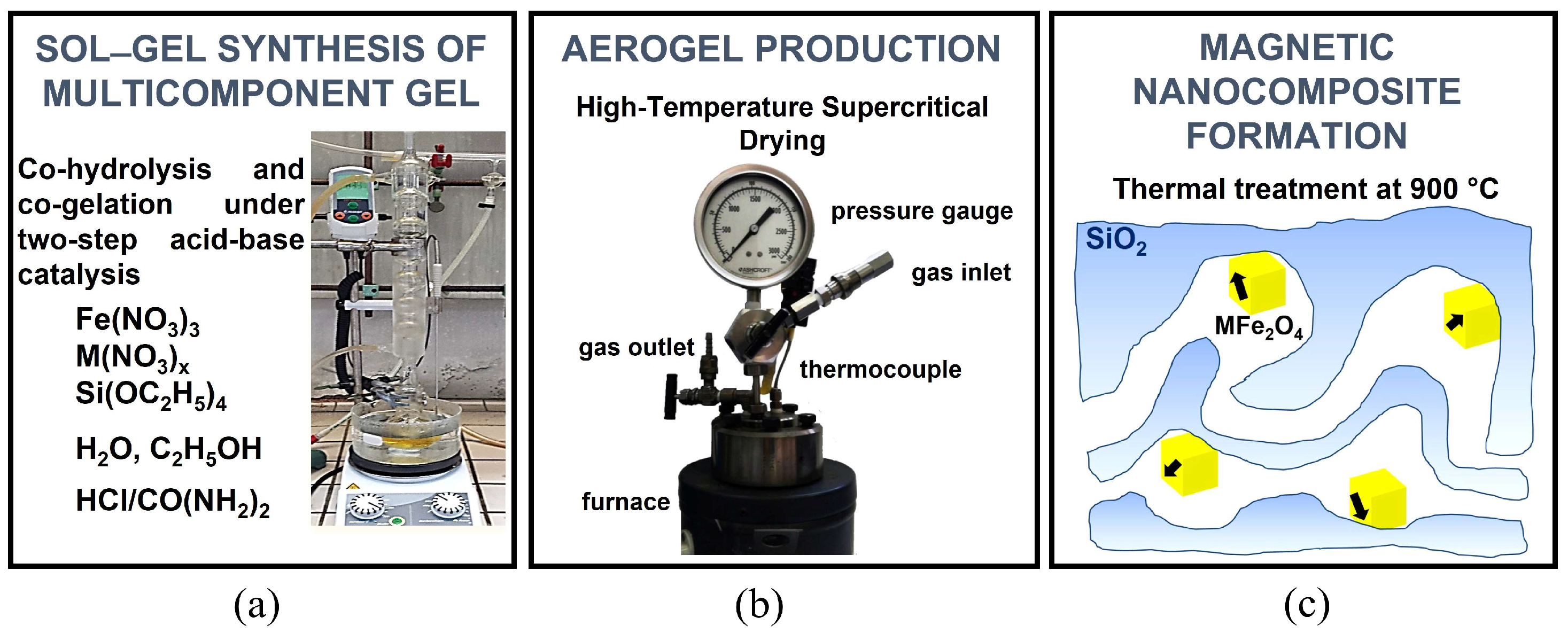 Molecules 29 02223 g002