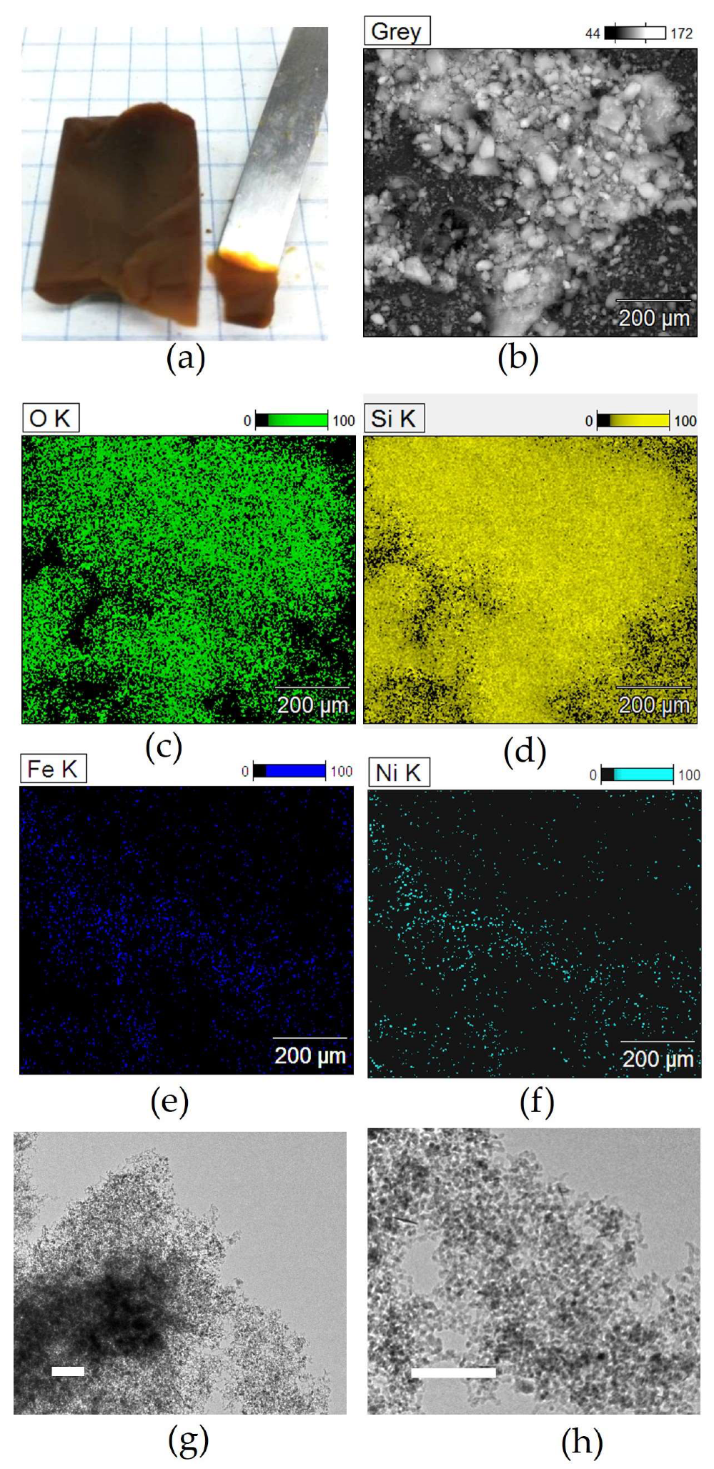 Molecules 29 02223 g003