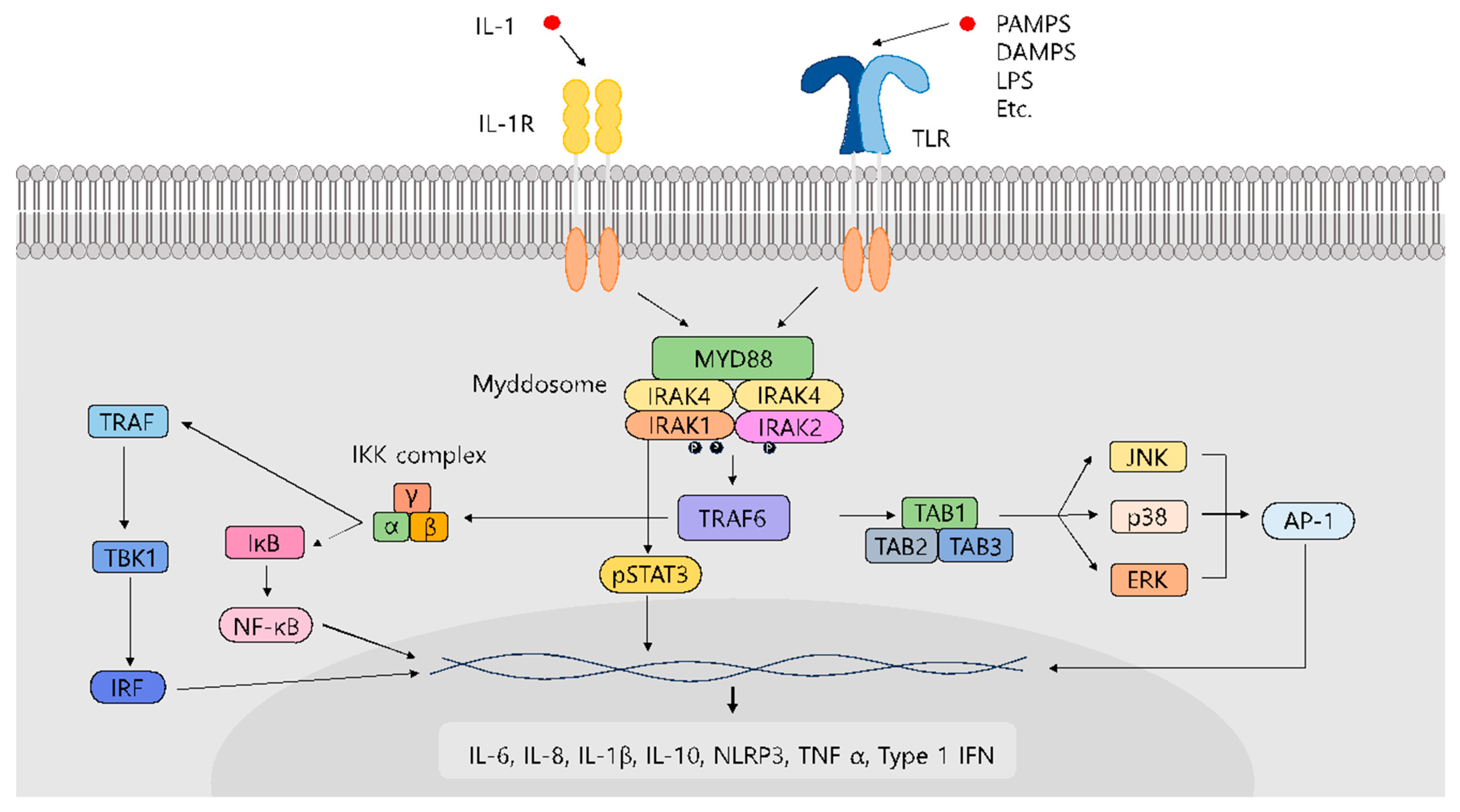 Molecules 29 02226 g001