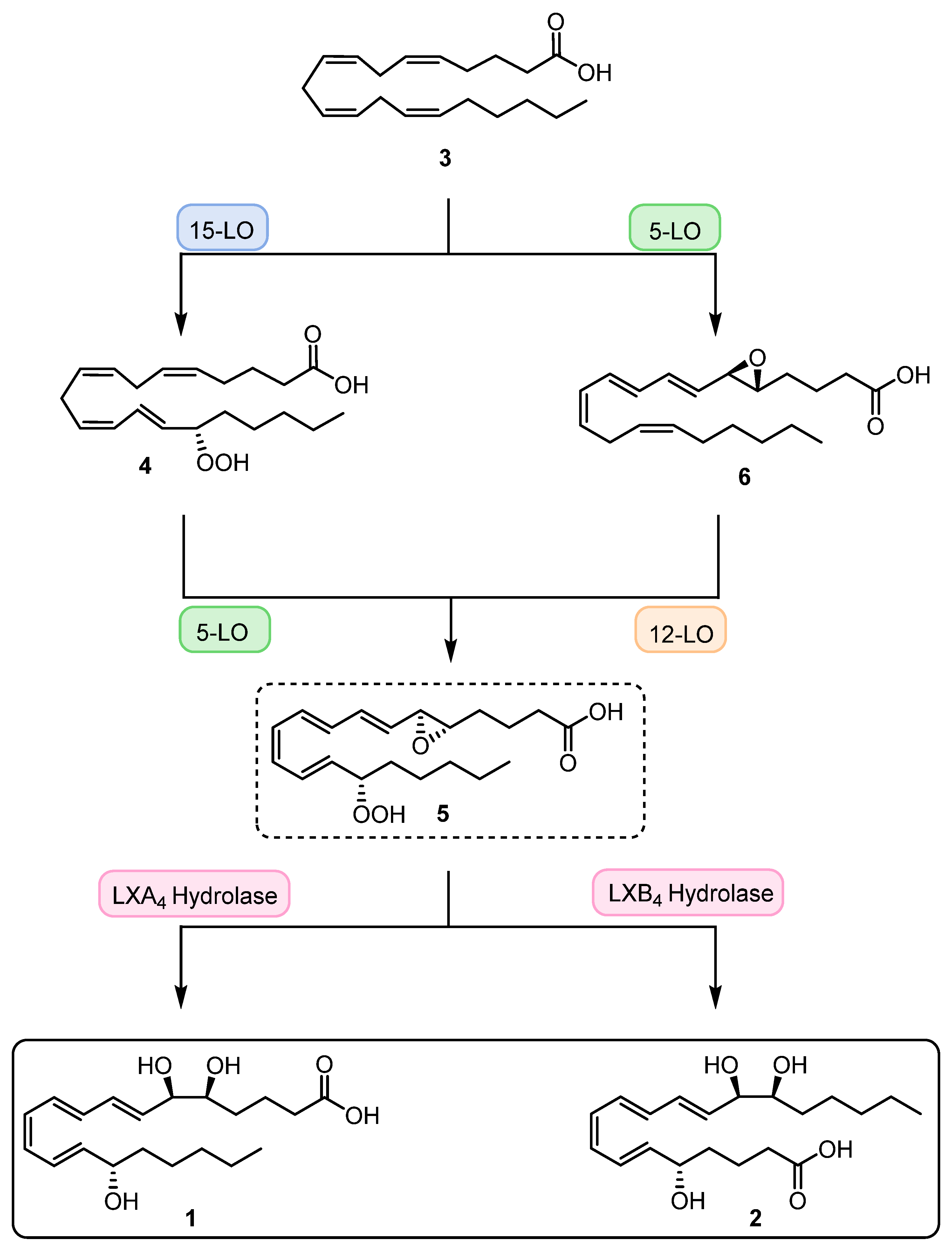 Molecules 29 02233 sch001 Molecules 29 02233 sch001