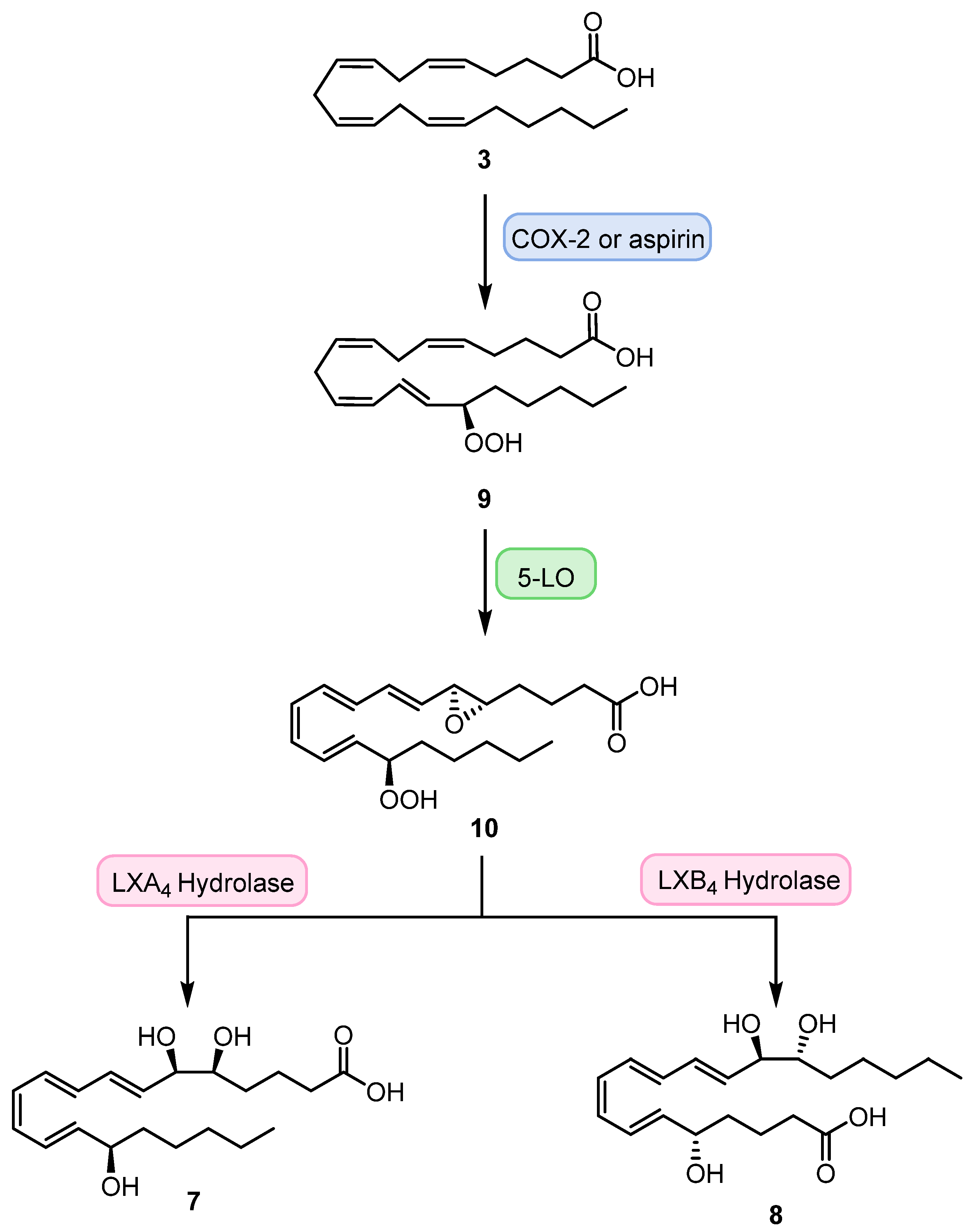 Molecules 29 02233 sch002 Molecules 29 02233 sch002