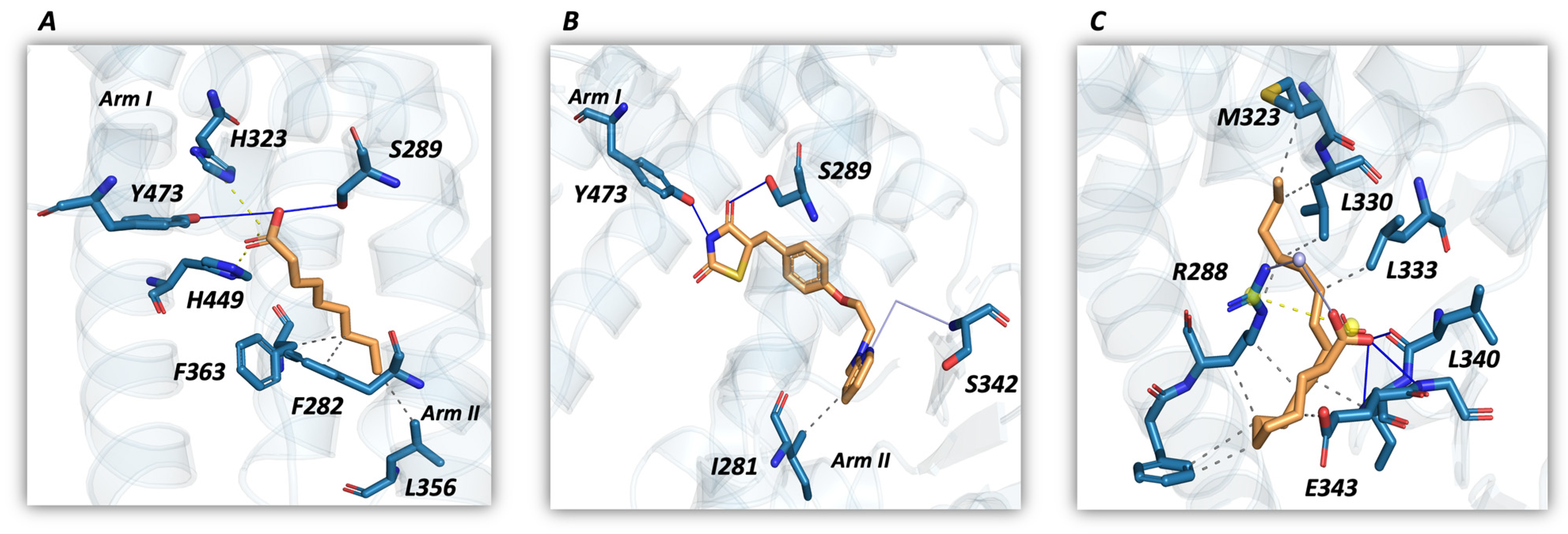 Molecules 29 02234 g002