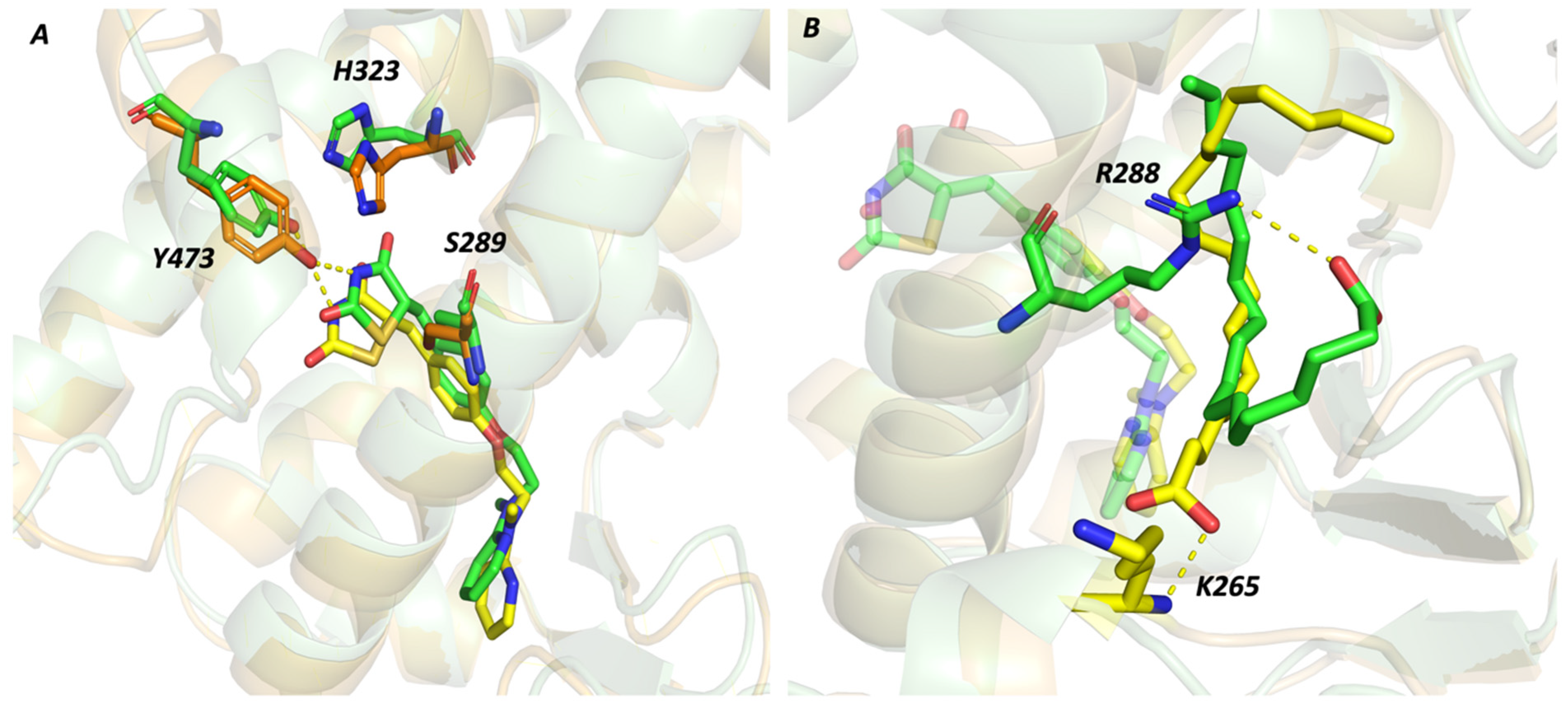 Molecules 29 02234 g004