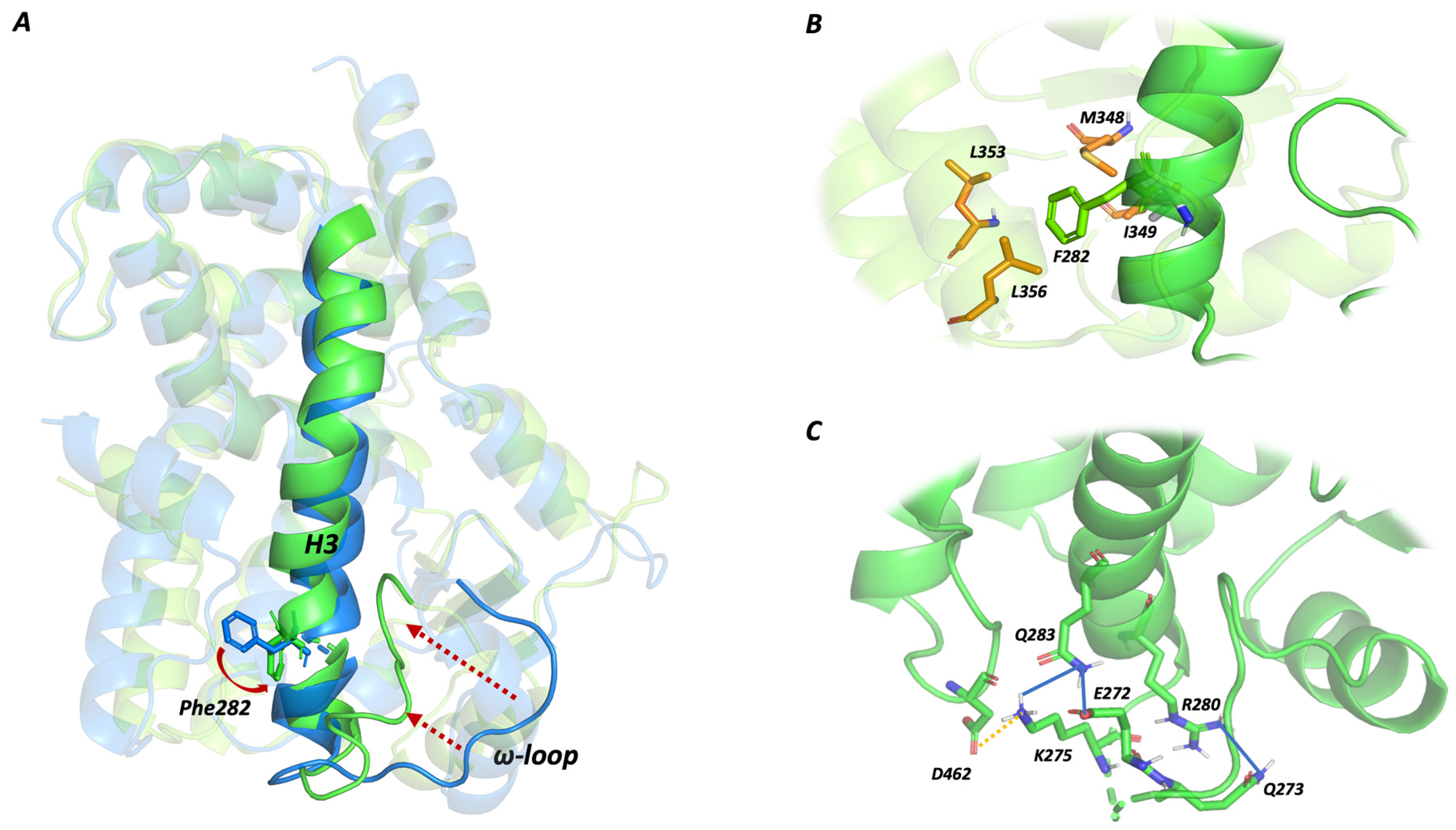 Molecules 29 02234 g006