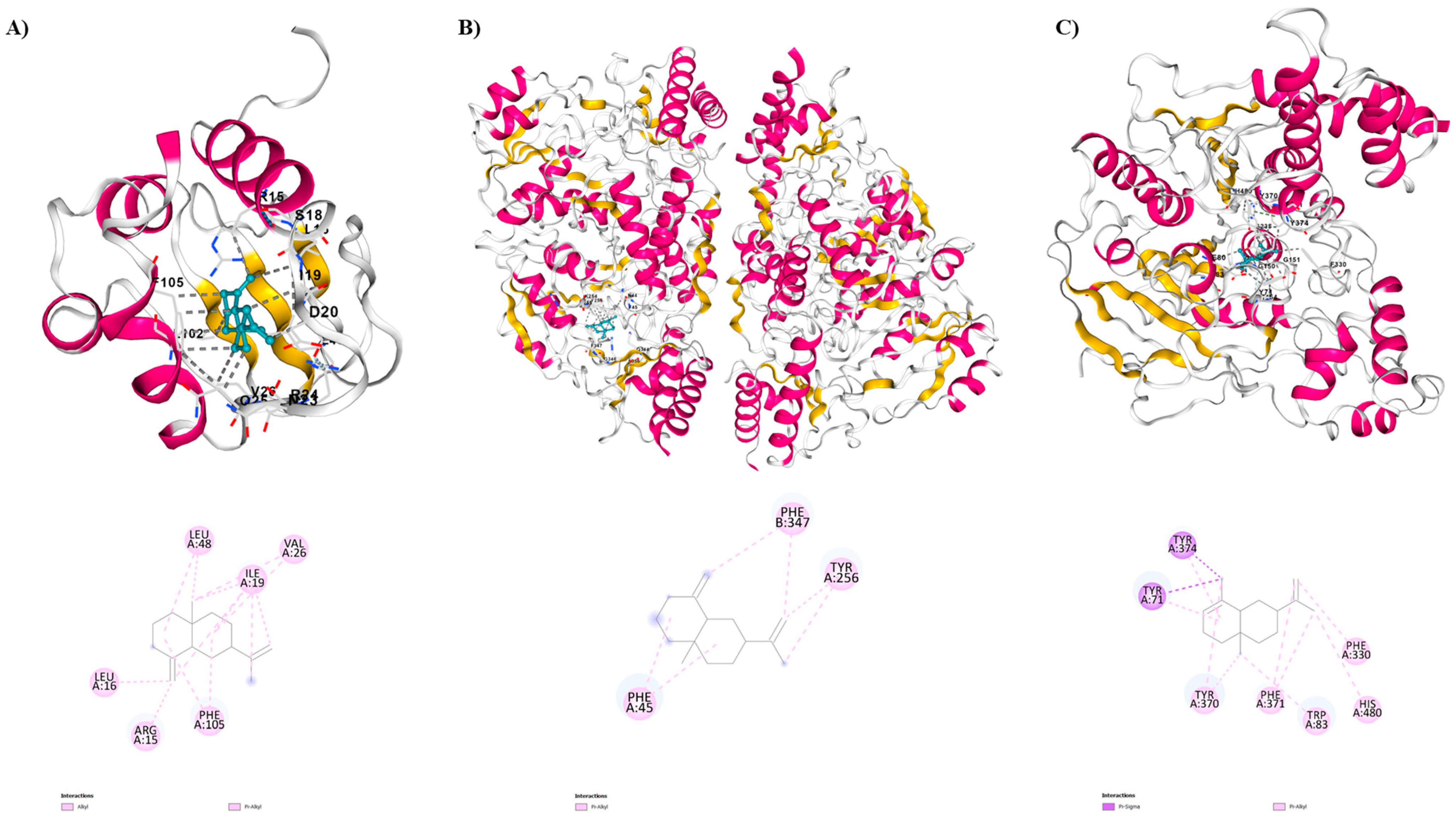 Molecules 29 02240 g001