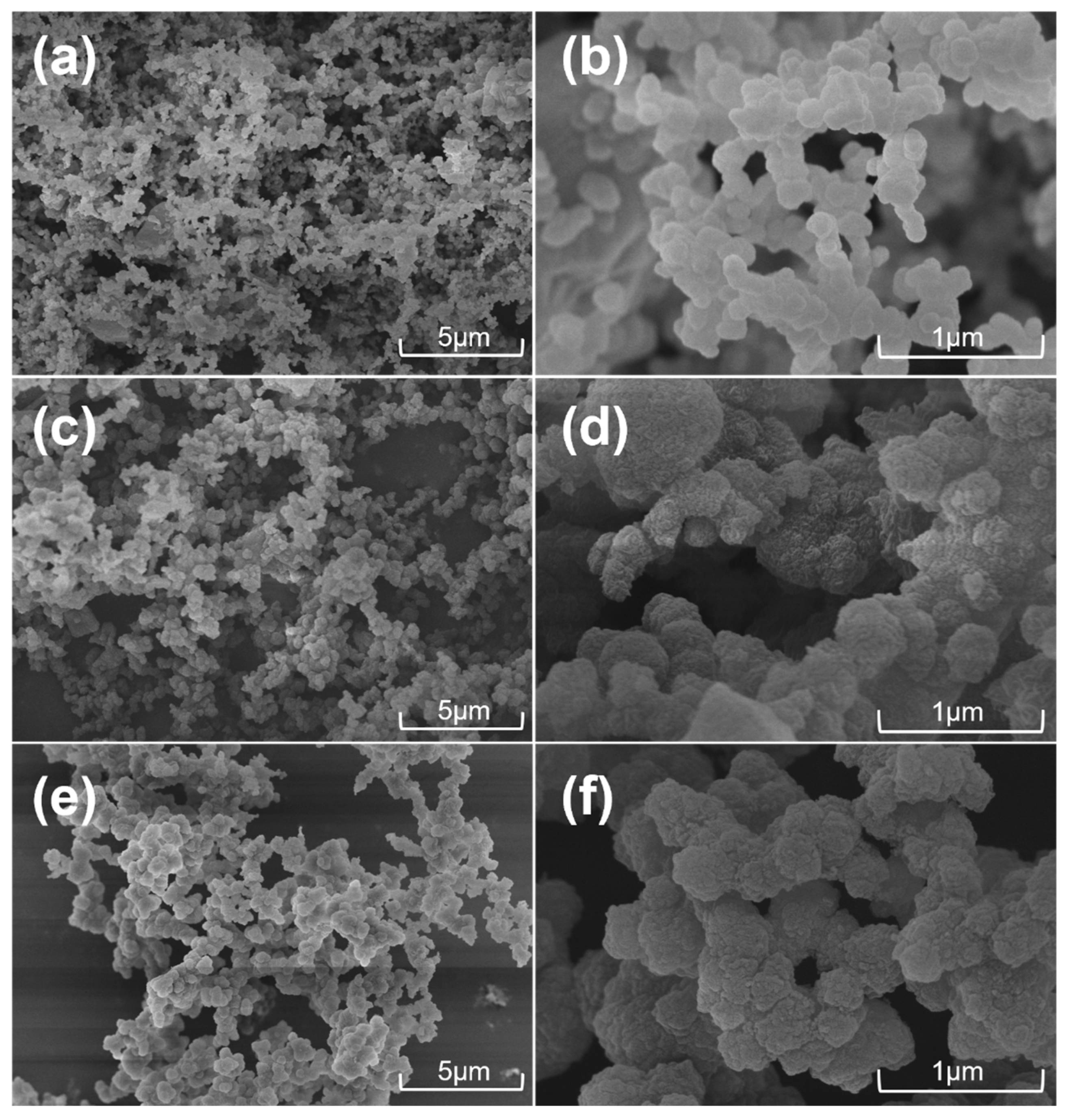 Molecules 29 02242 g004