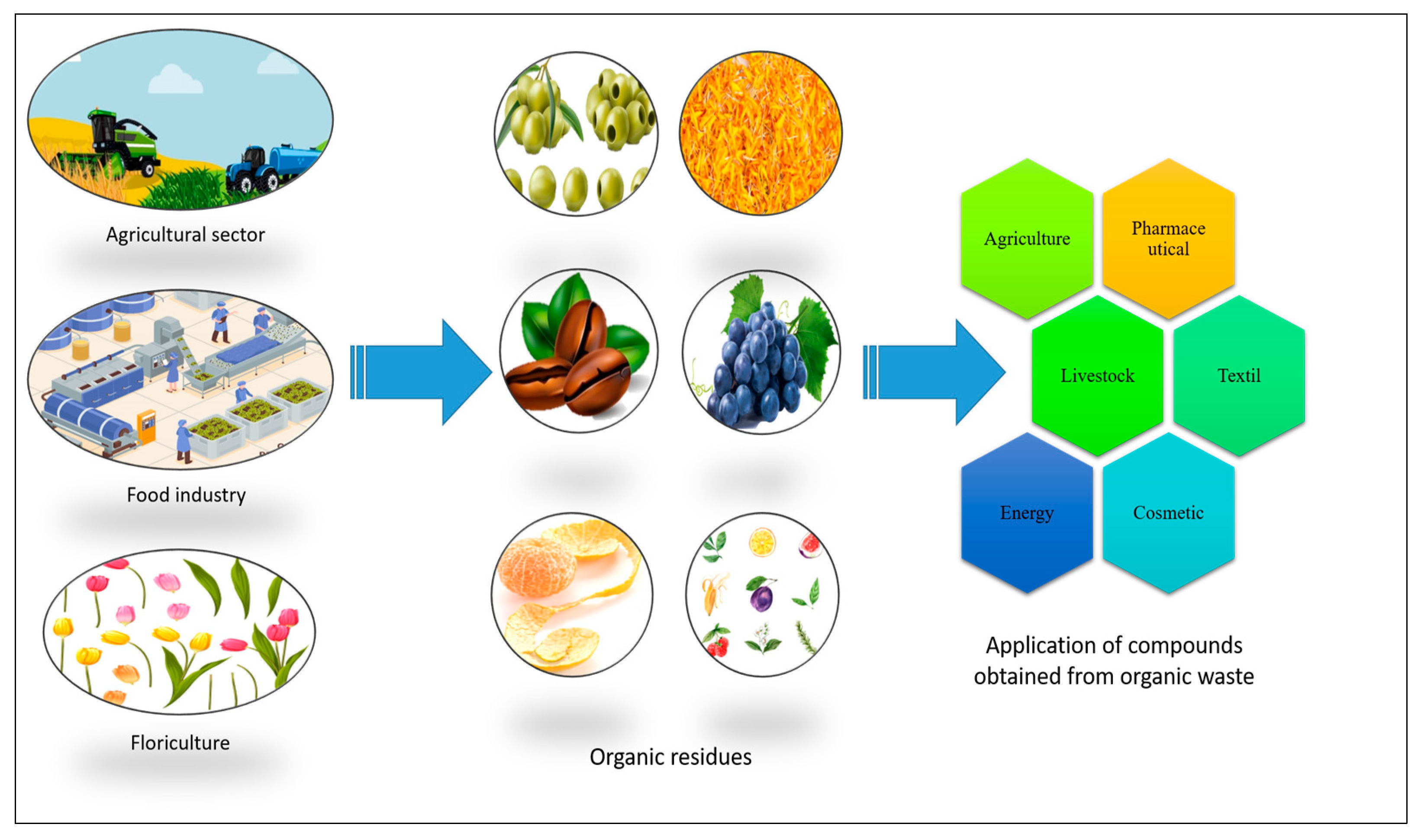 Molecules 29 02243 g002