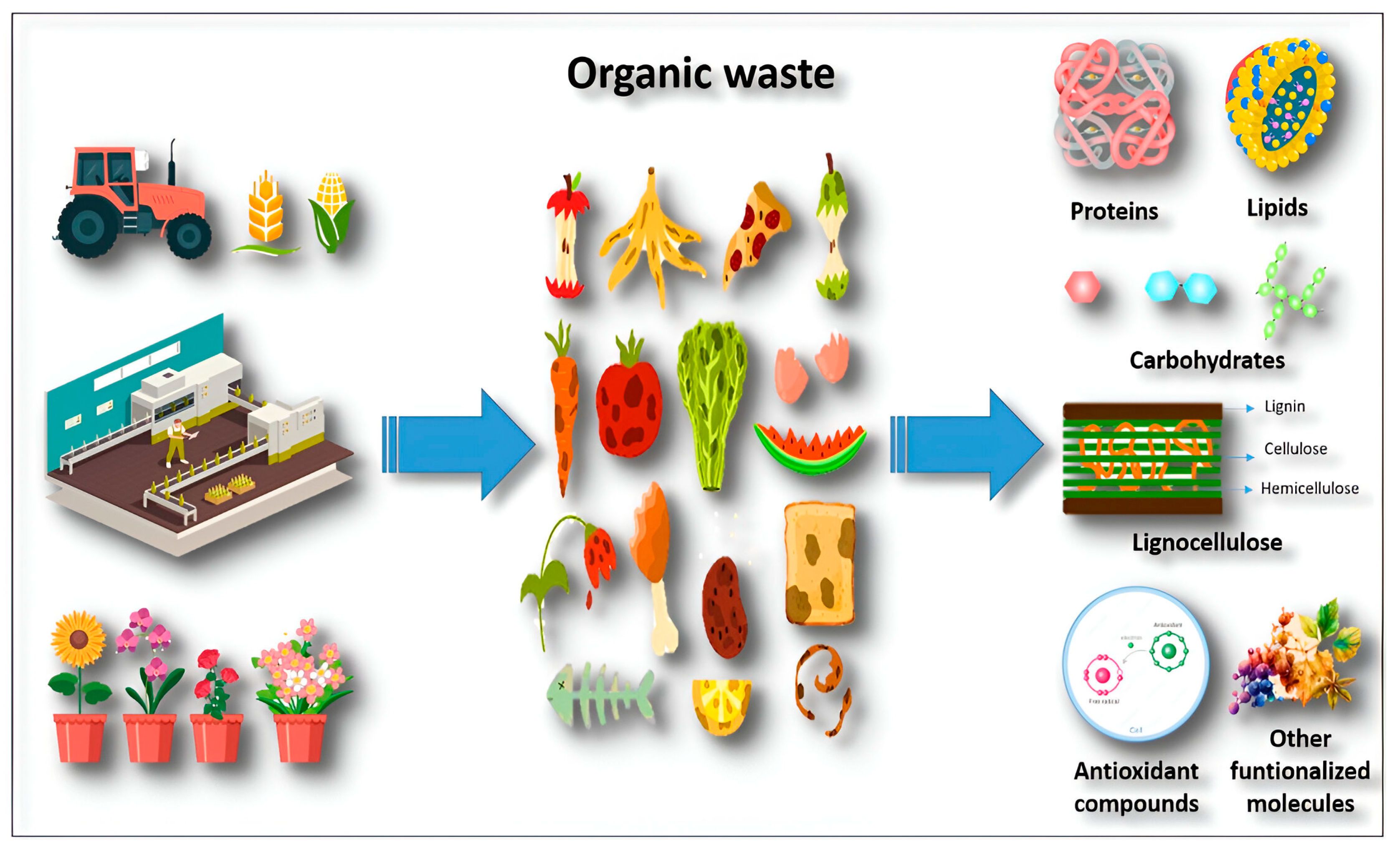 Molecules 29 02243 g003
