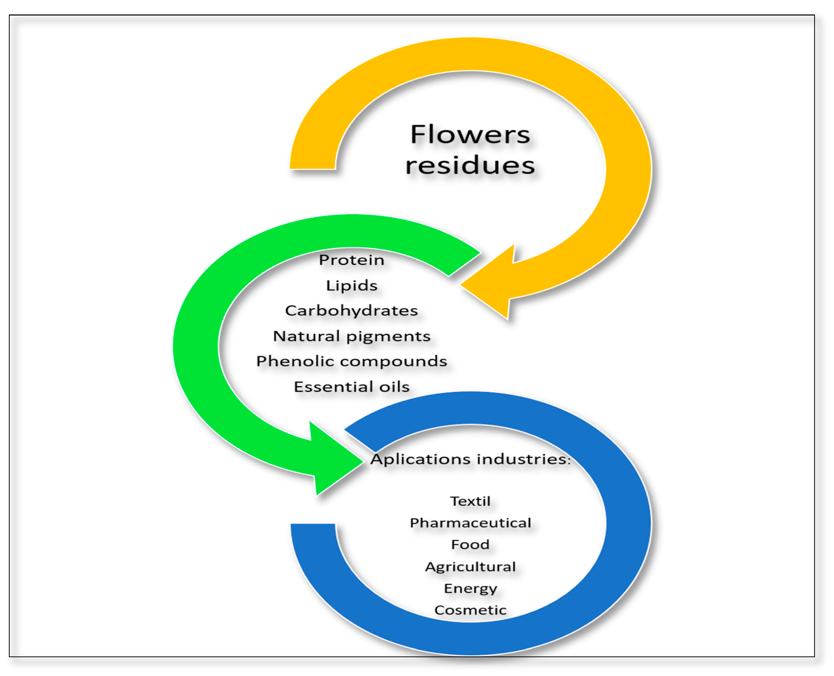 Molecules 29 02243 g004