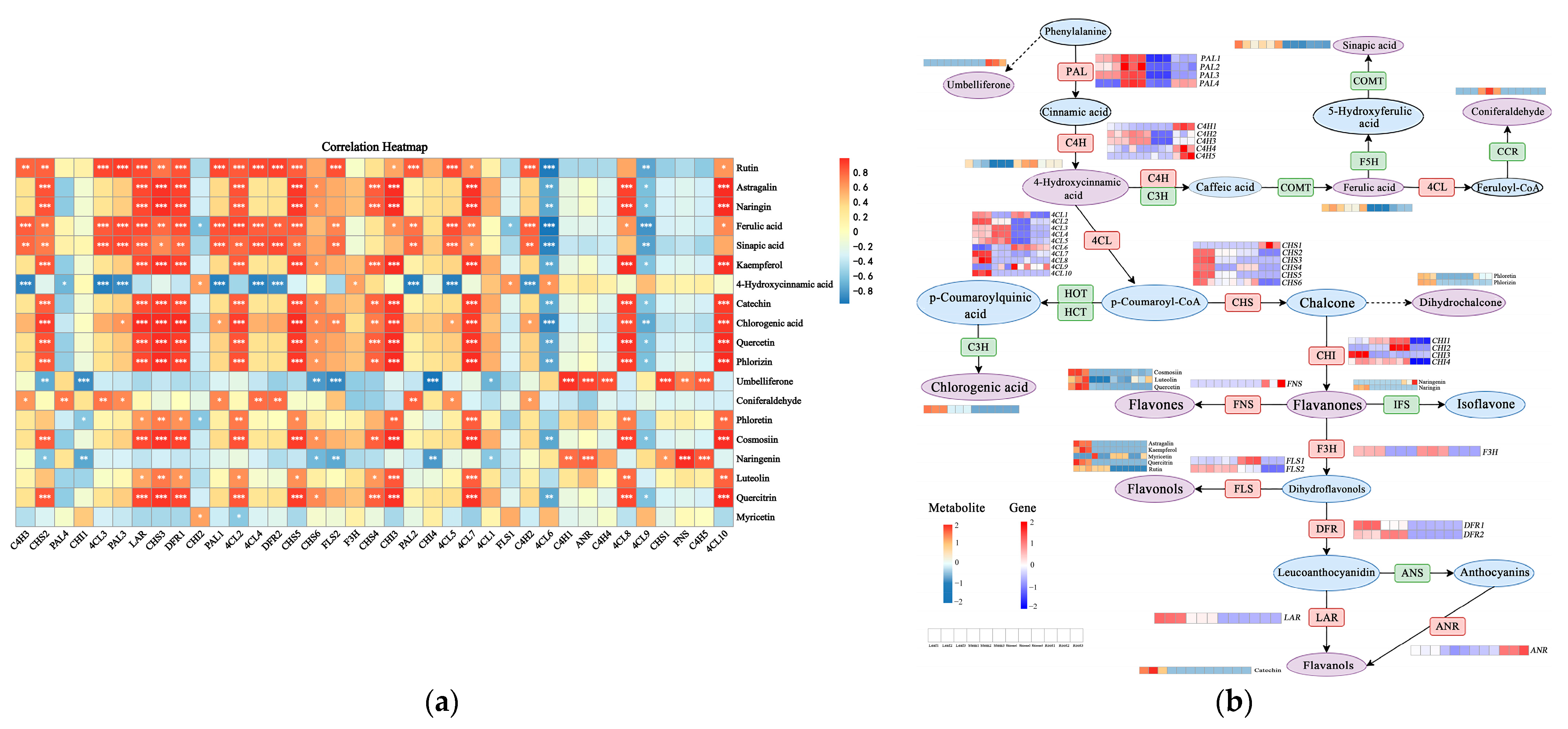 Molecules 29 02248 g005