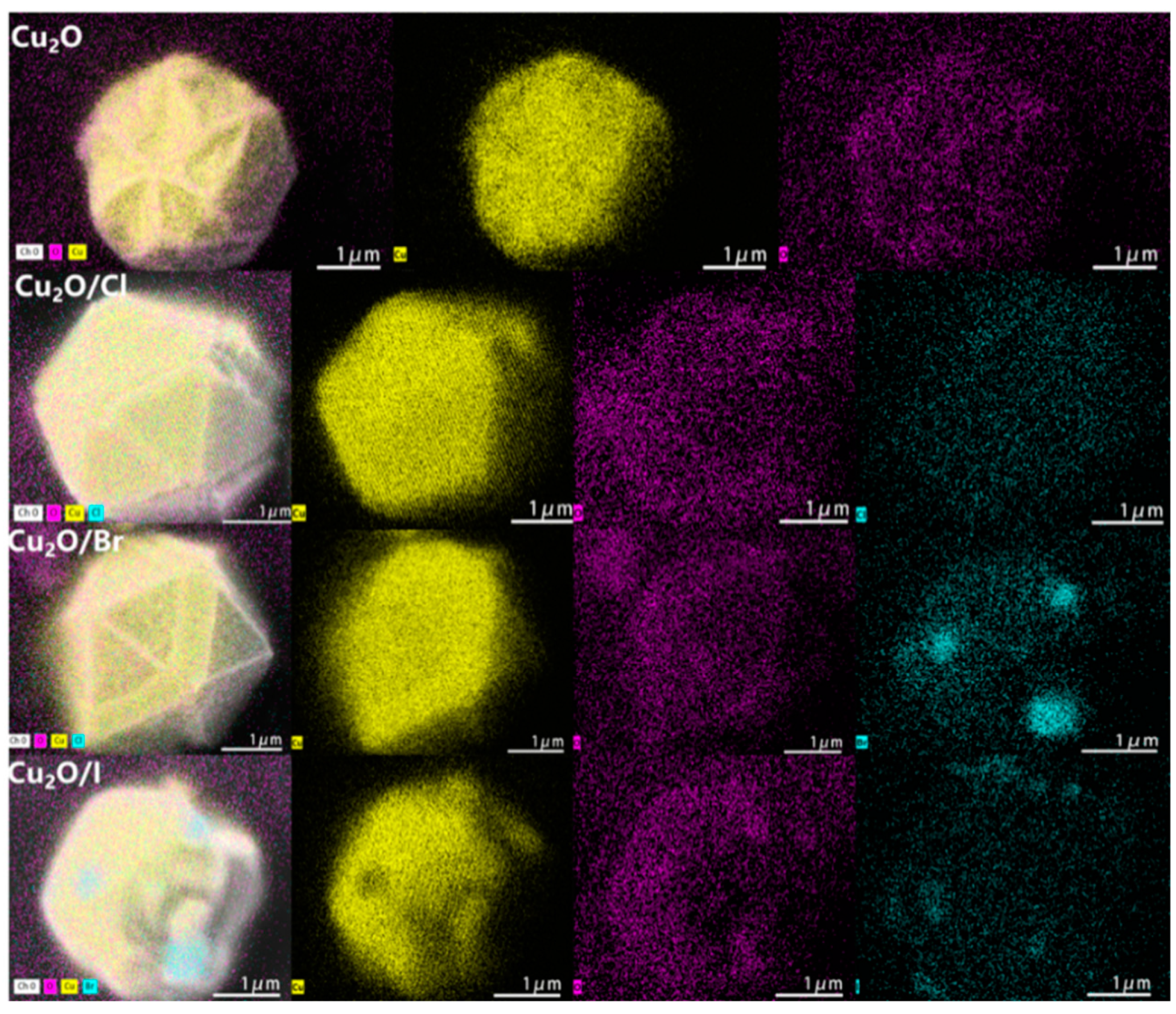 Molecules 29 02261 g004