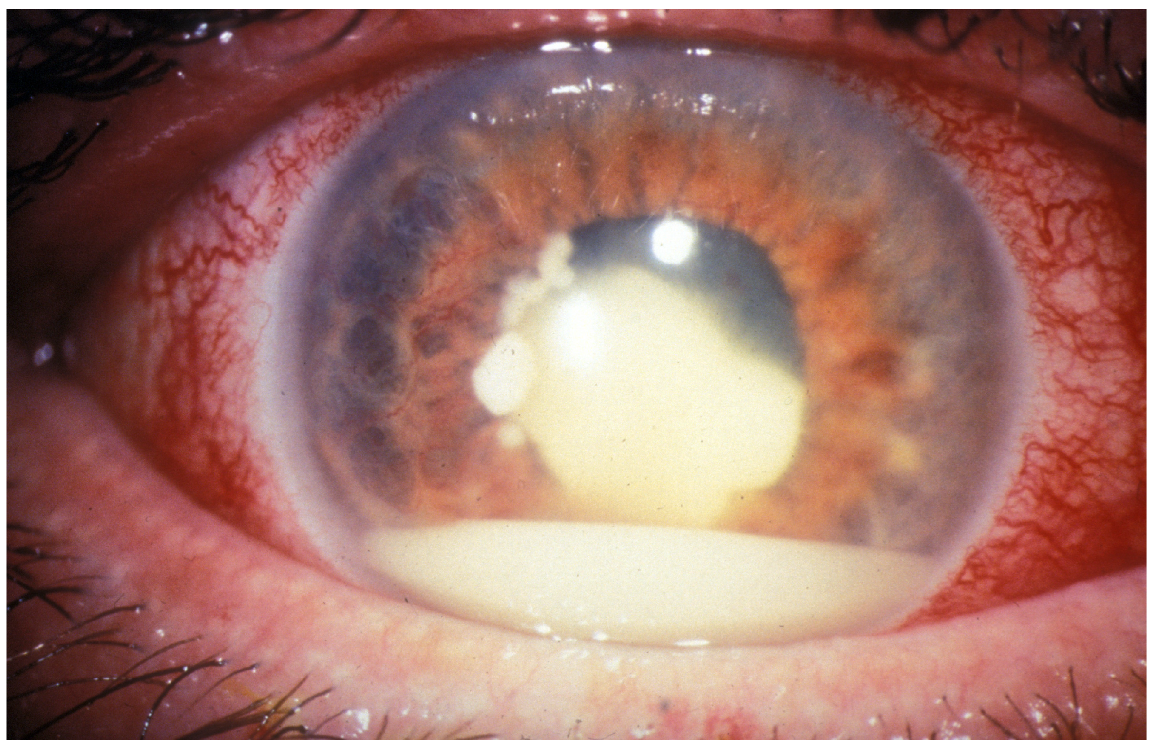 Molecules 29 02263 g001