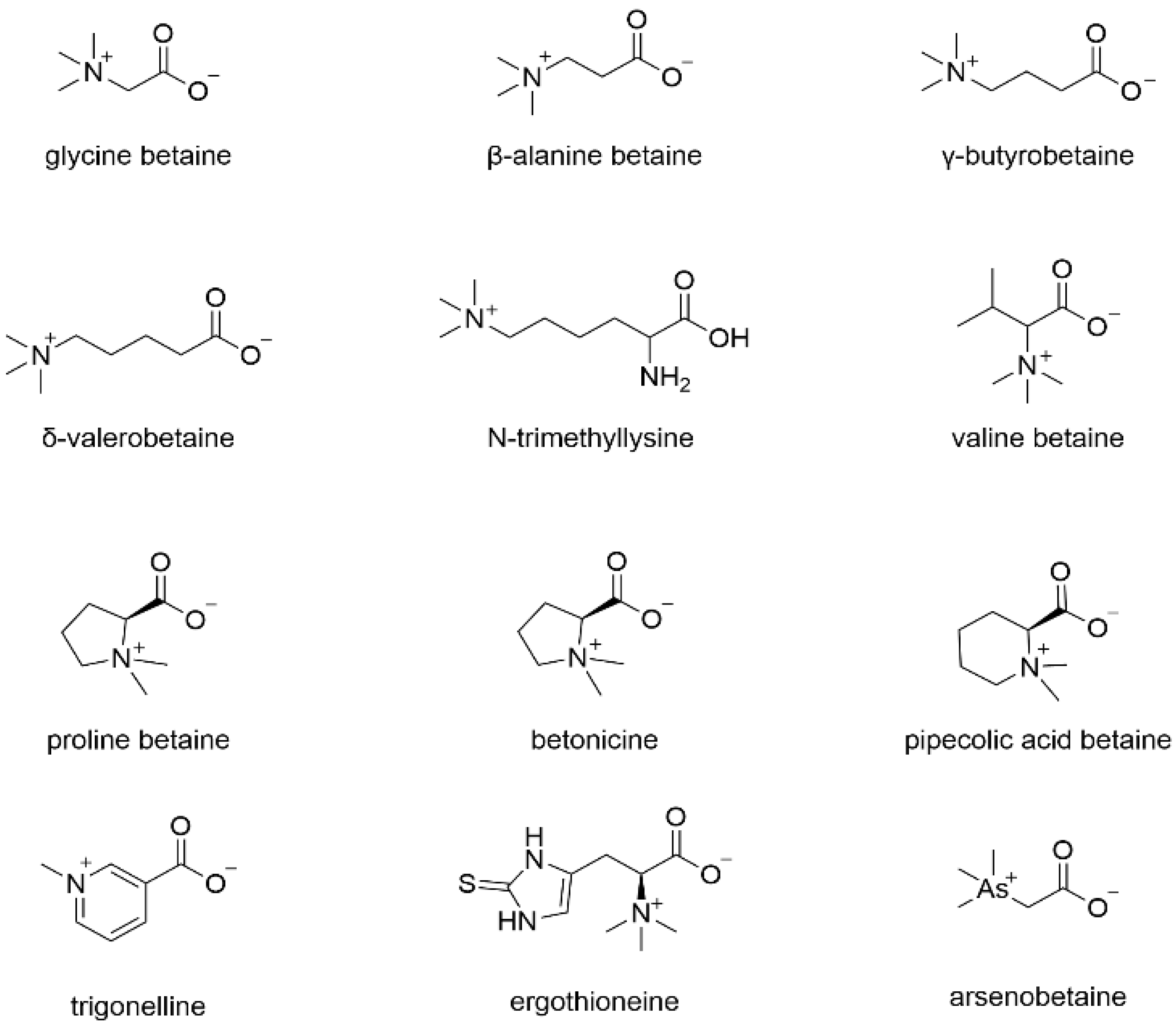 Molecules 29 02269 g001