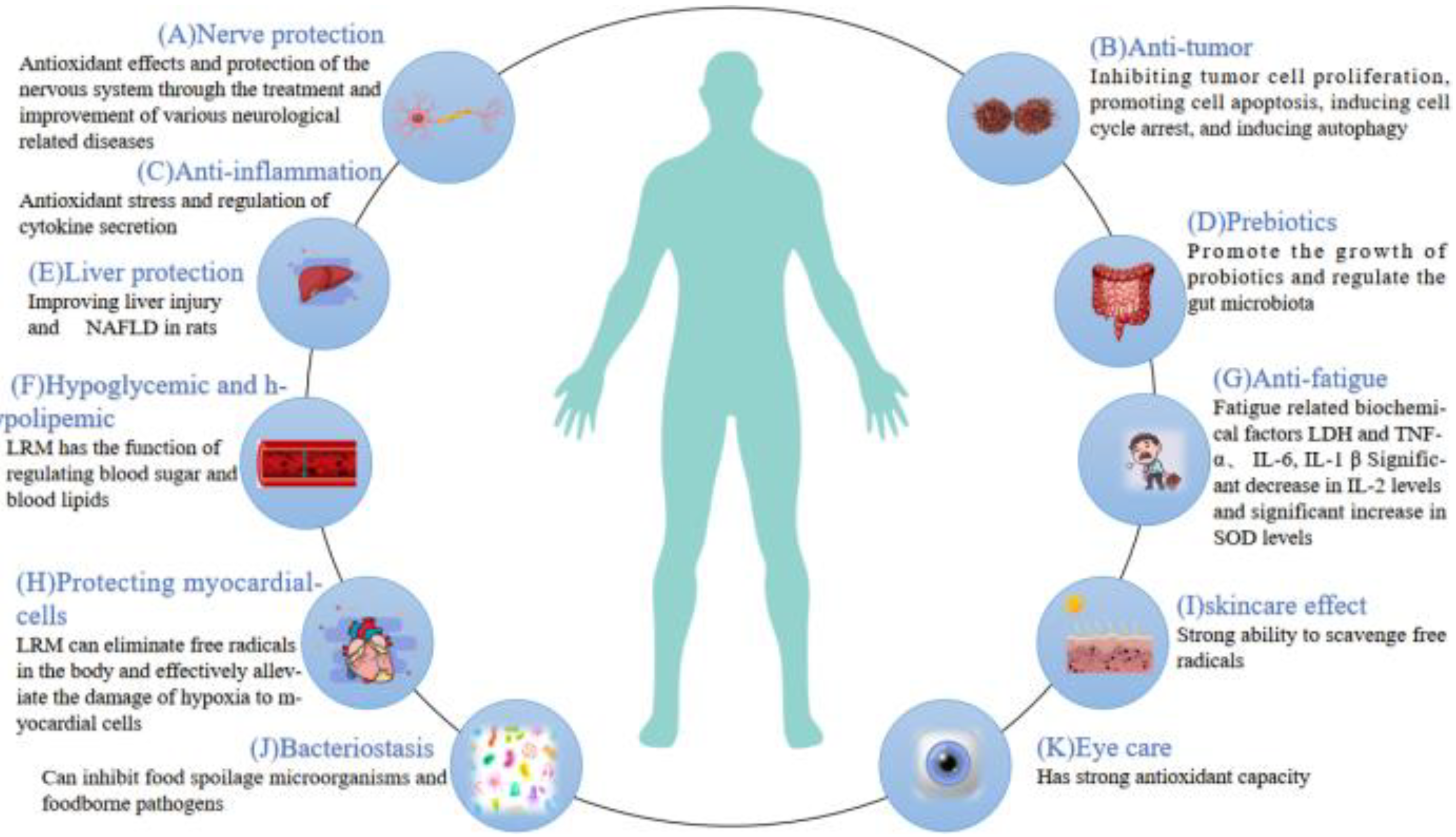 Molecules 29 02269 g004