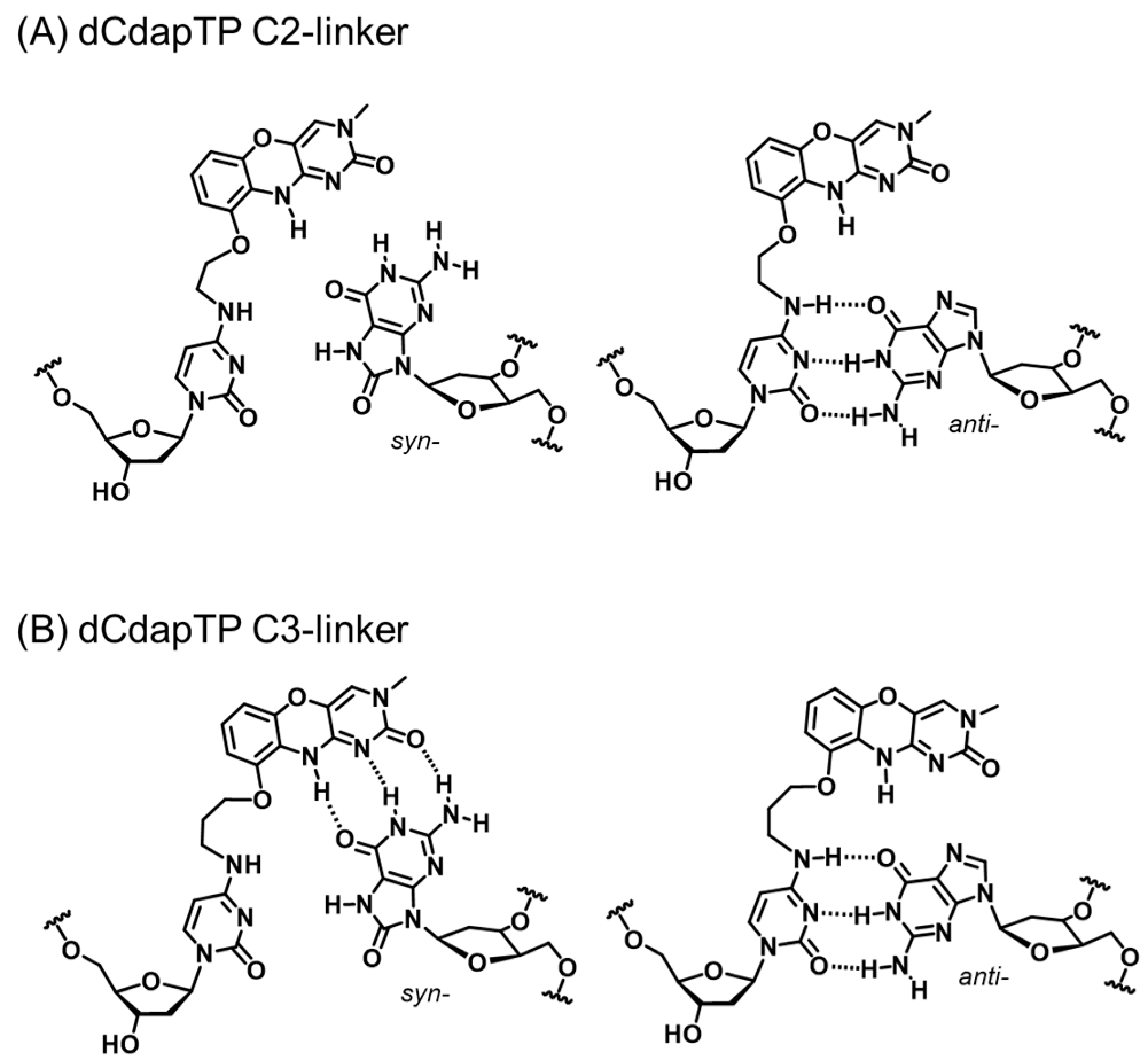 Molecules 29 02270 g003