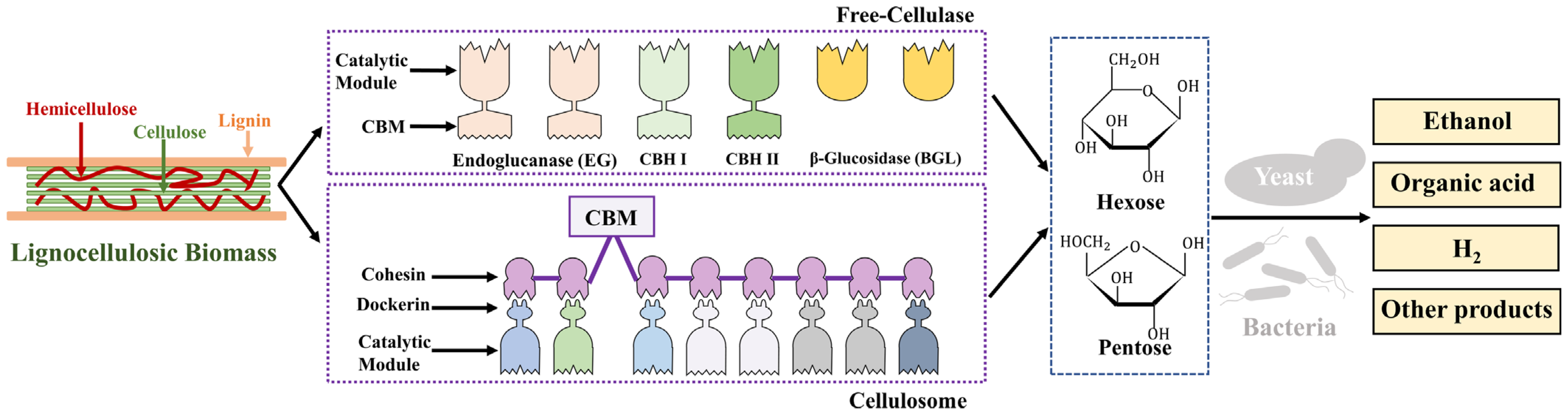 Molecules 29 02275 g002 Molecules 29 02275 g002