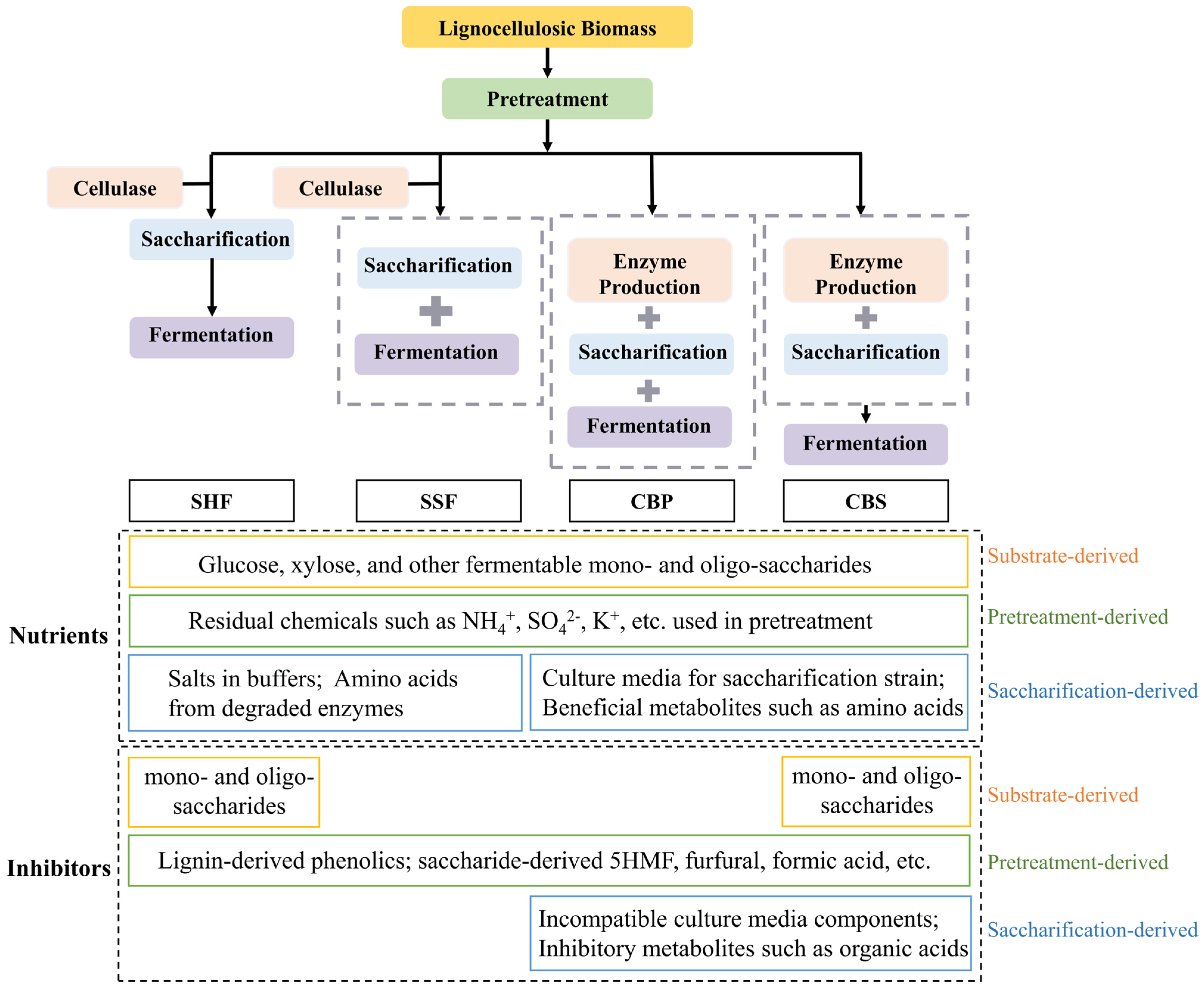 Molecules 29 02275 g003 Molecules 29 02275 g003