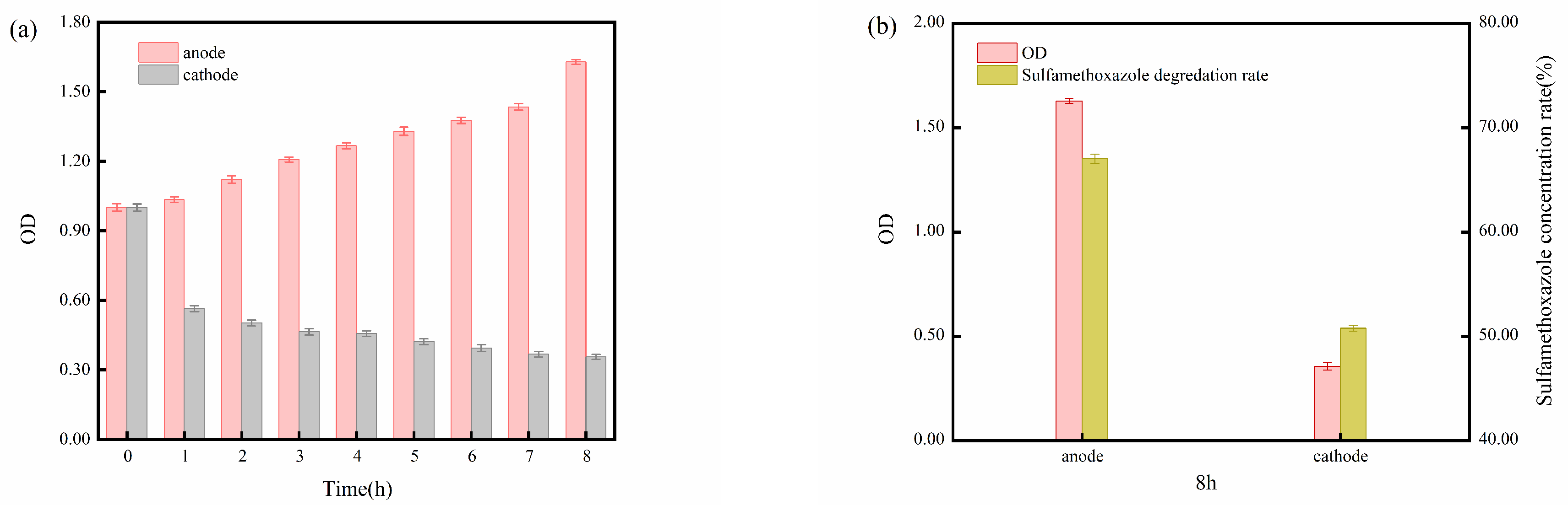 Molecules 29 02276 g006