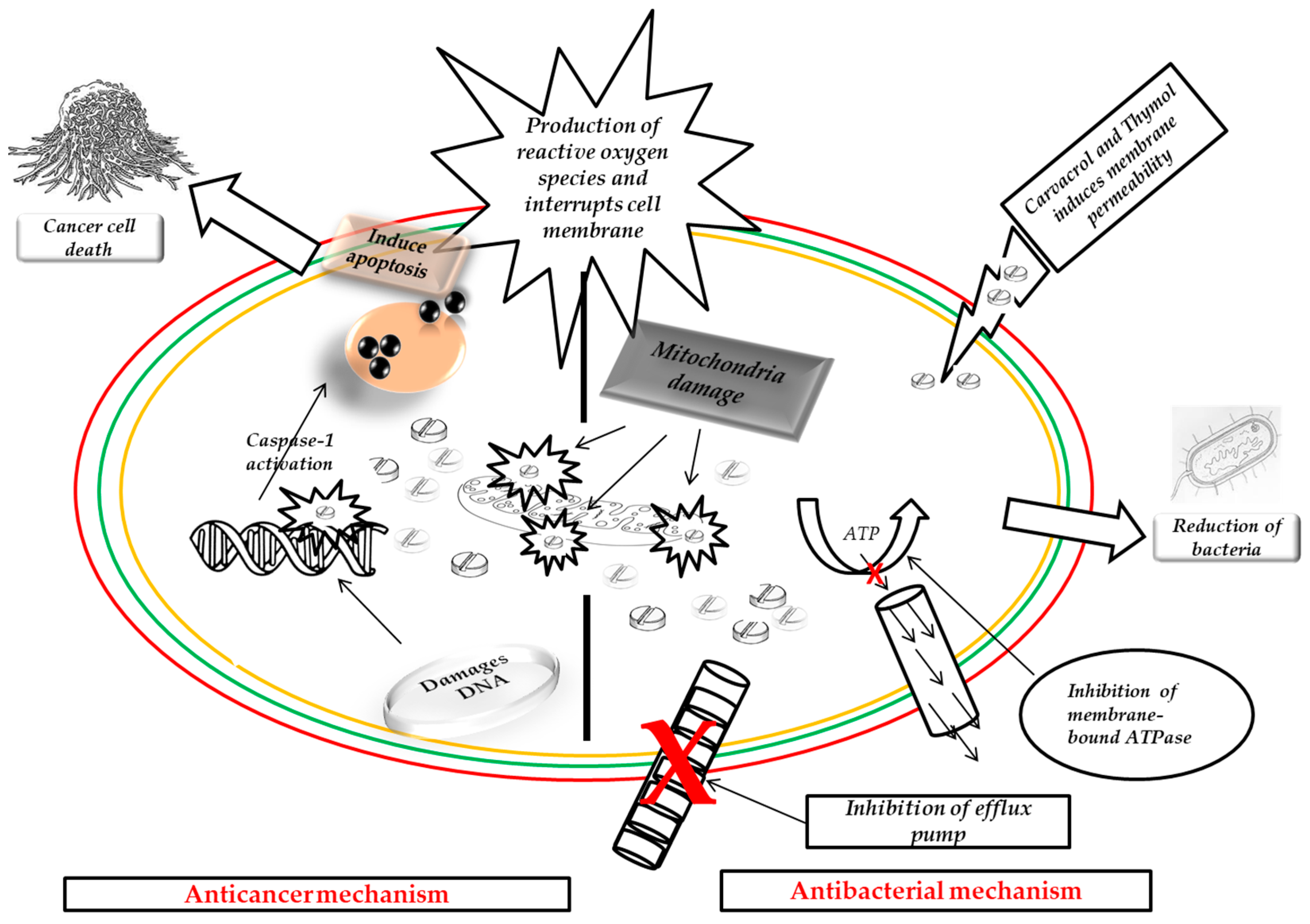 Molecules 29 02277 g003